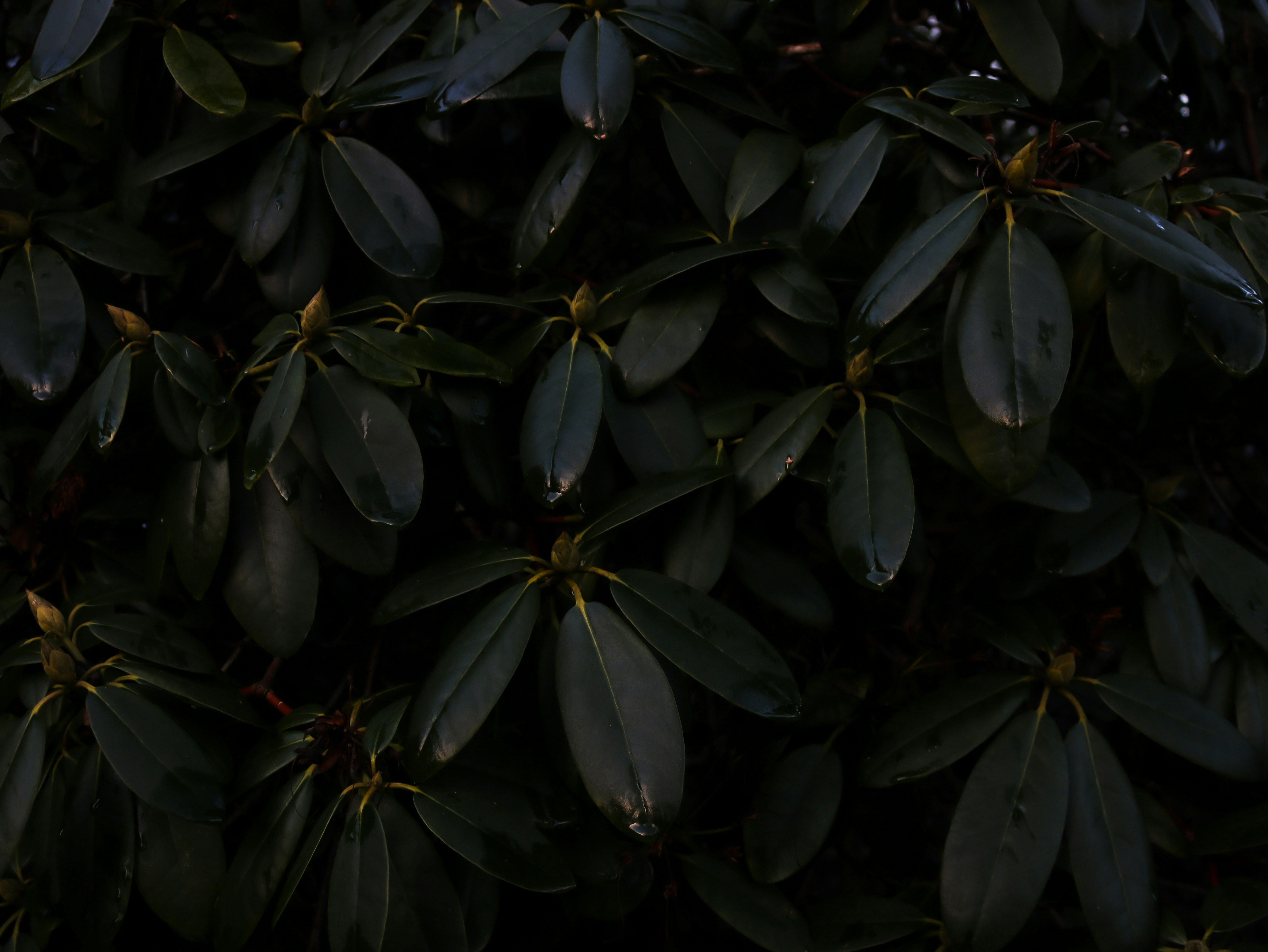 Photo by thee_photography_