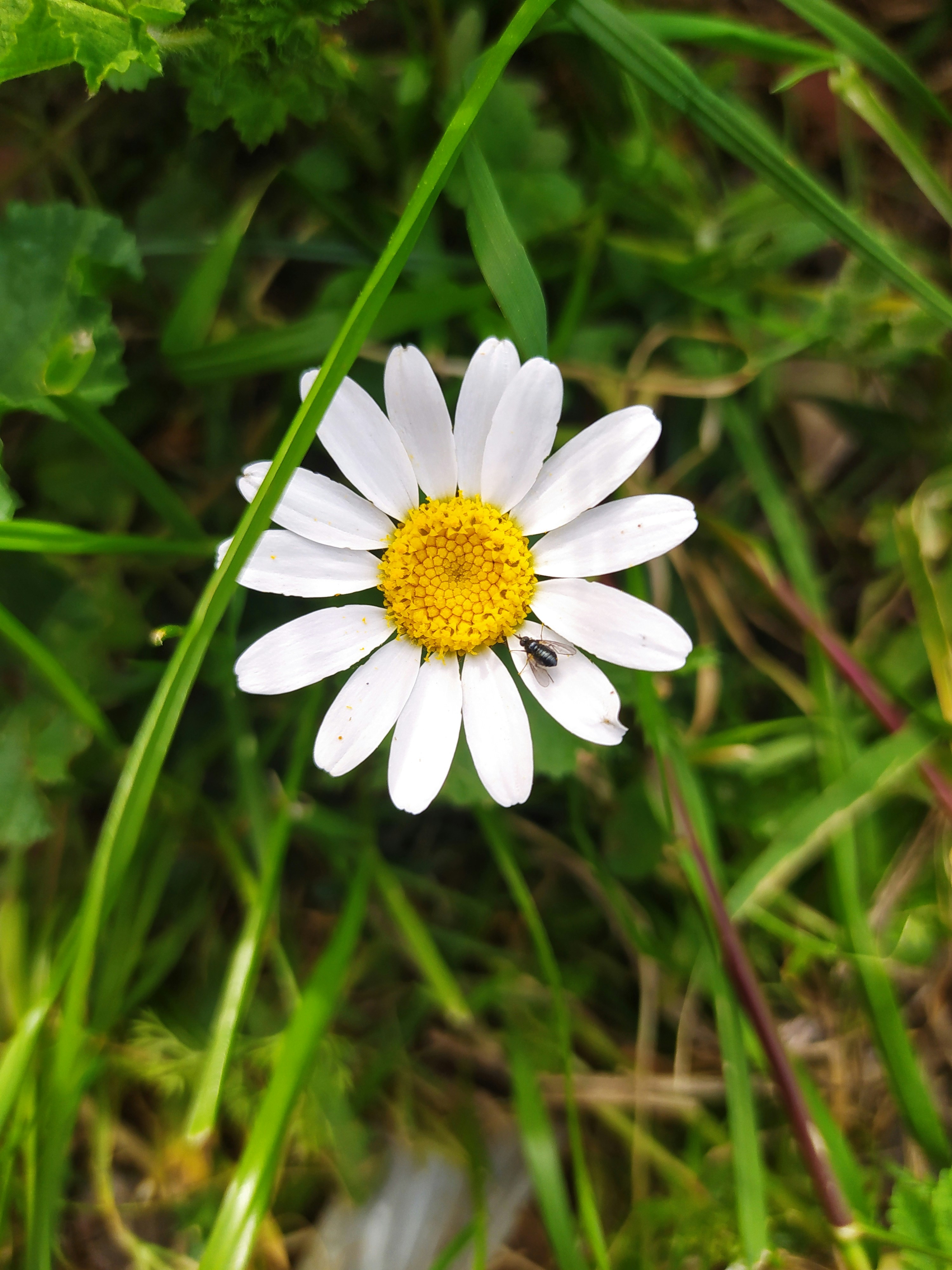 Photo by abdullahgurbuz