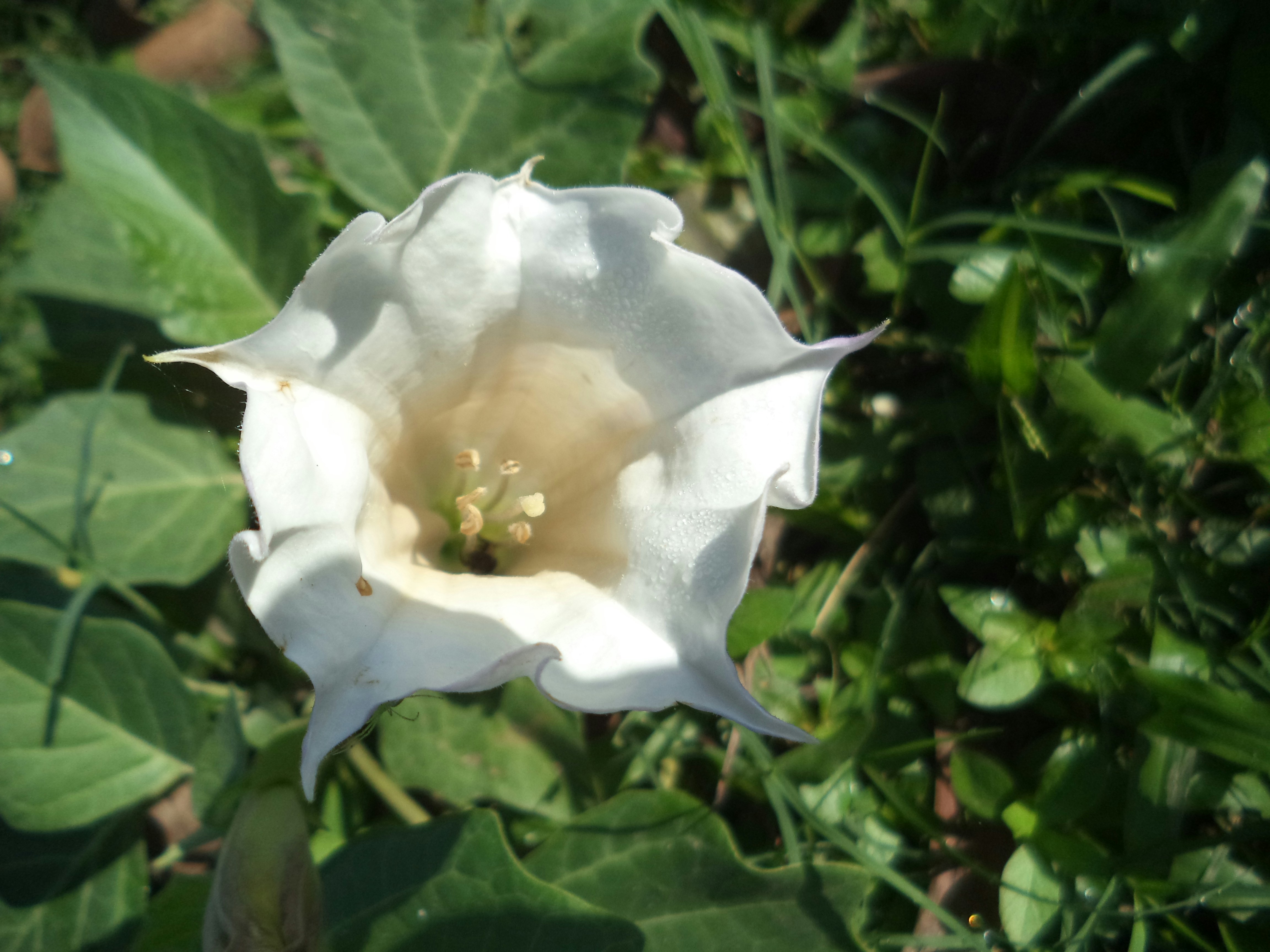 Photo by manashkumarmondal