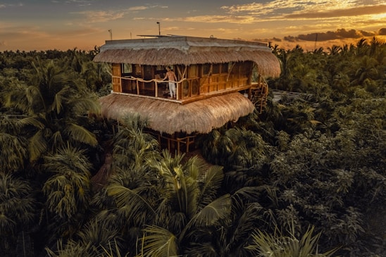 a house in the middle of a jungle