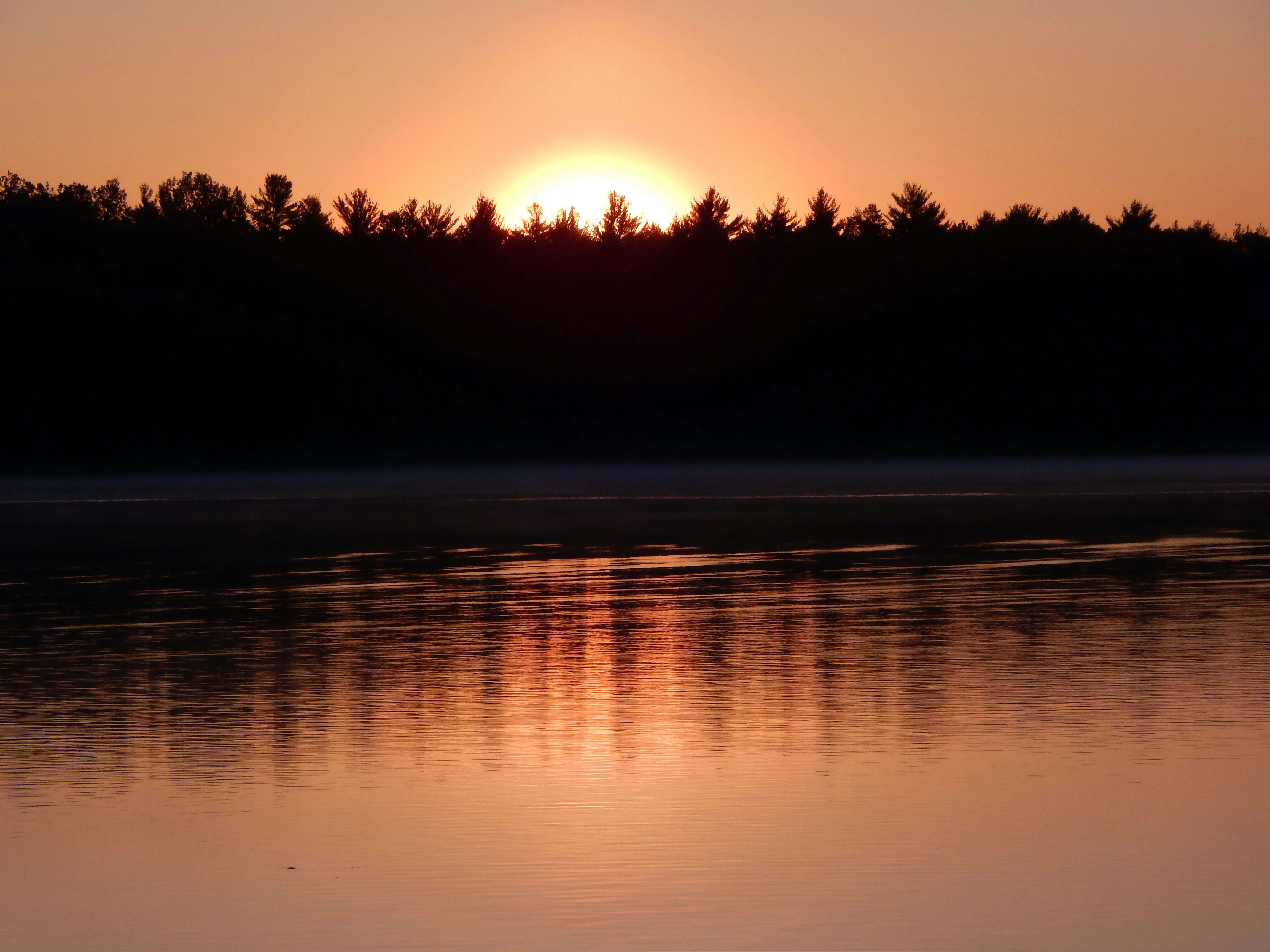 Canoe gliding through misty forest lake at sunrise, calm dark water, boreal treeline reflection