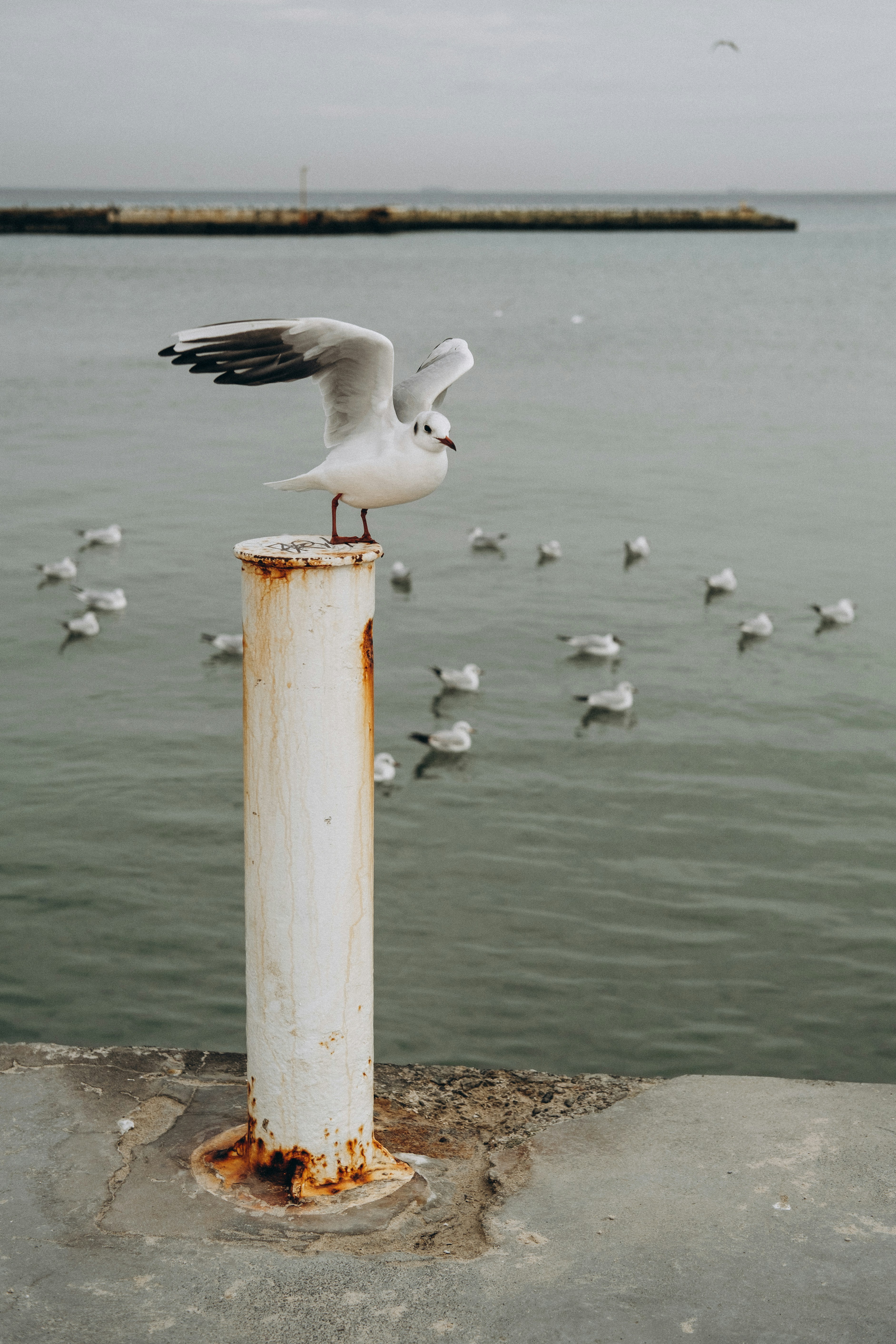 Photo by yana_hurska