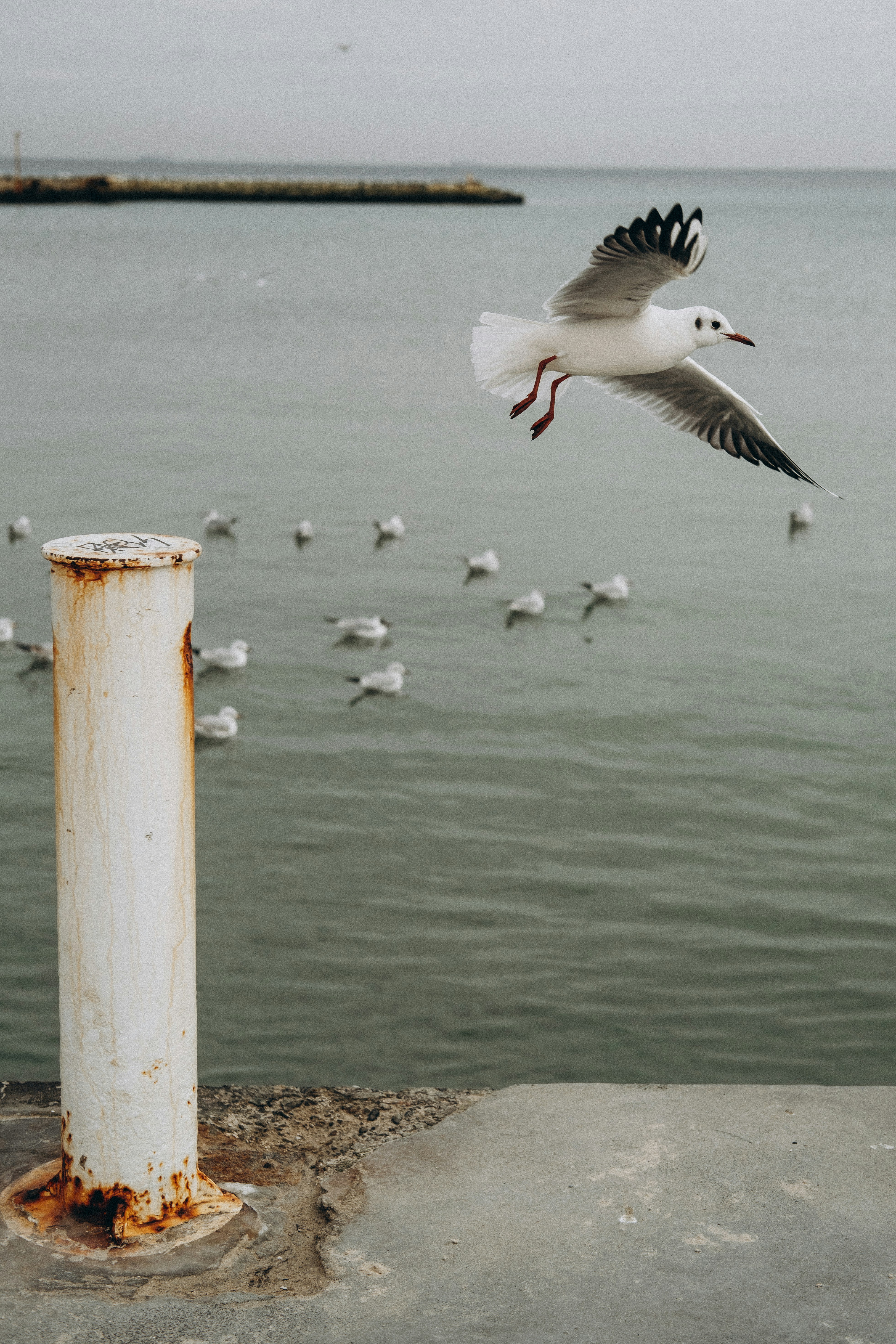 Photo by yana_hurska