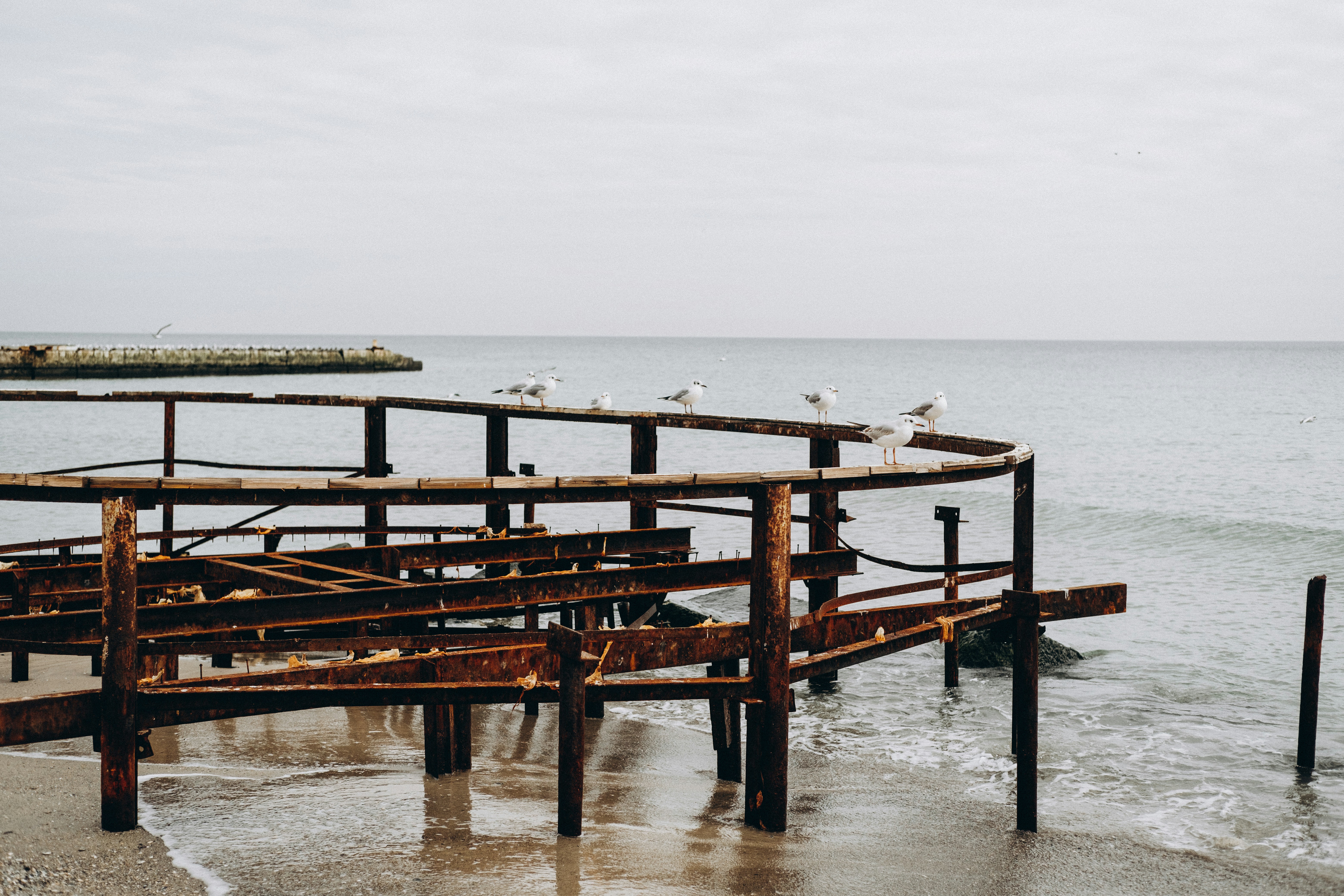 Photo by yana_hurska