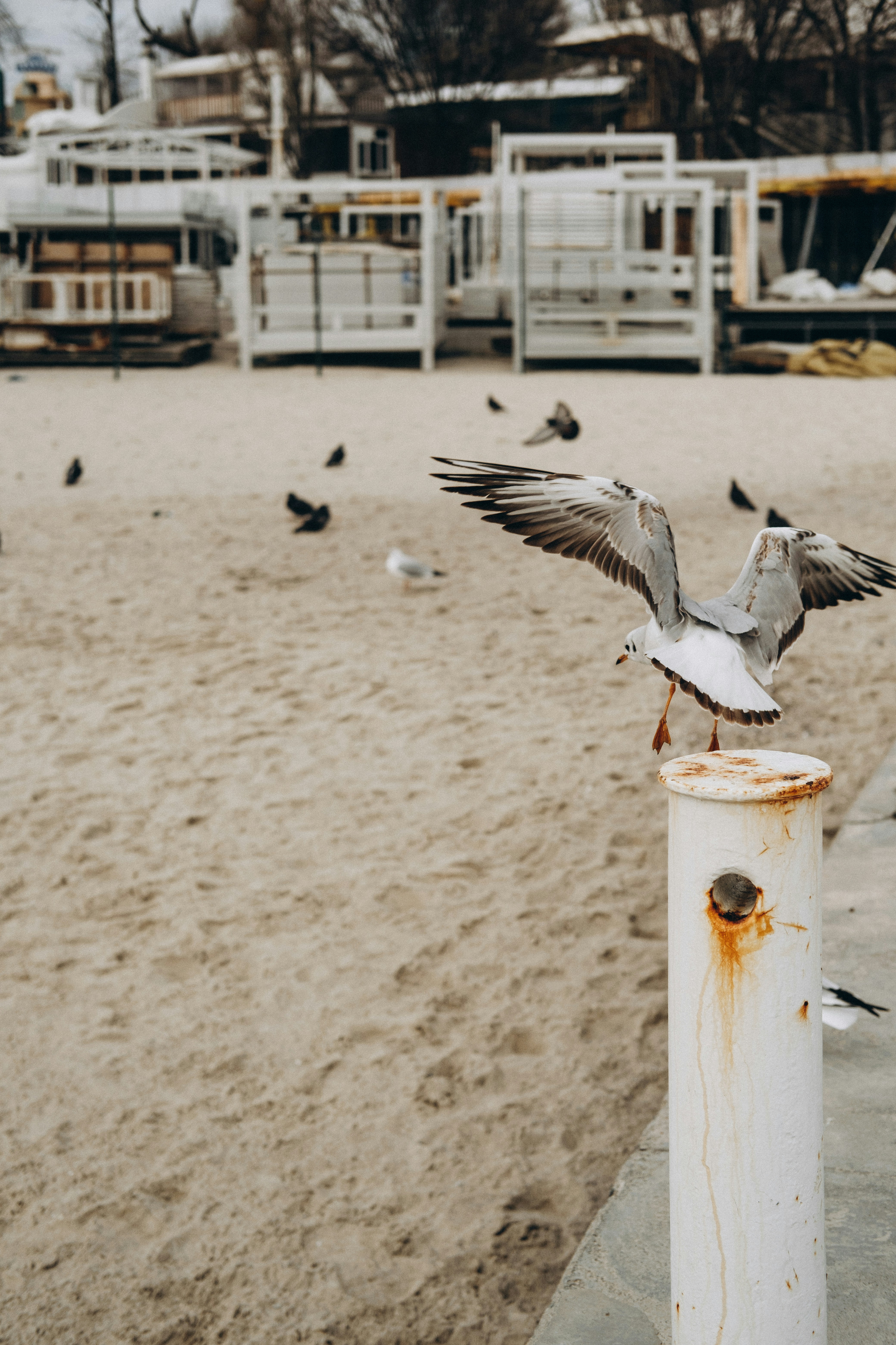 Photo by yana_hurska