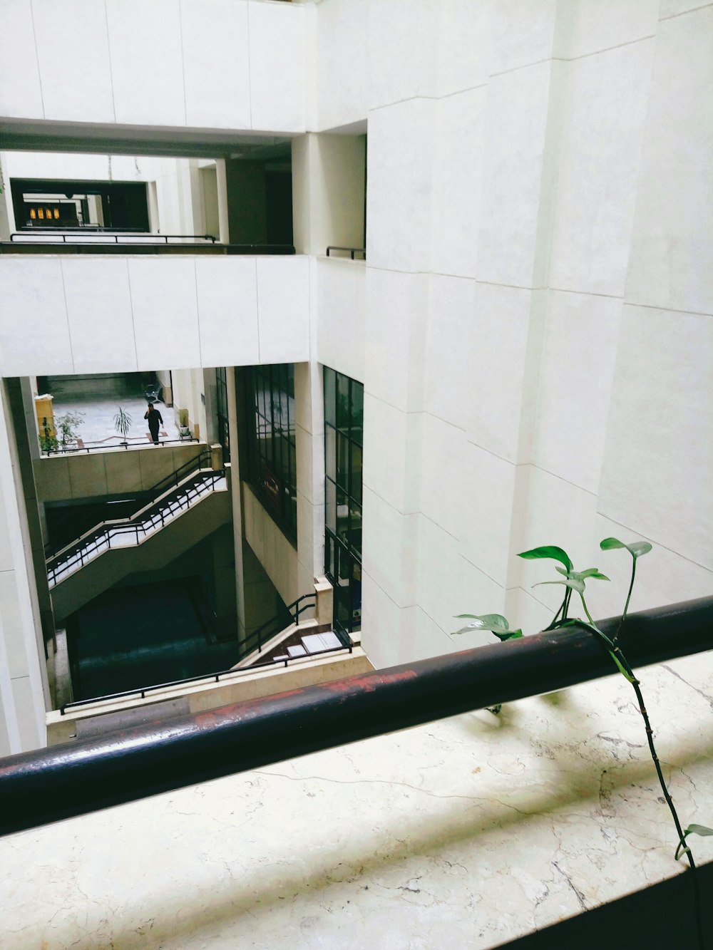 a plant is growing in the middle of a balcony