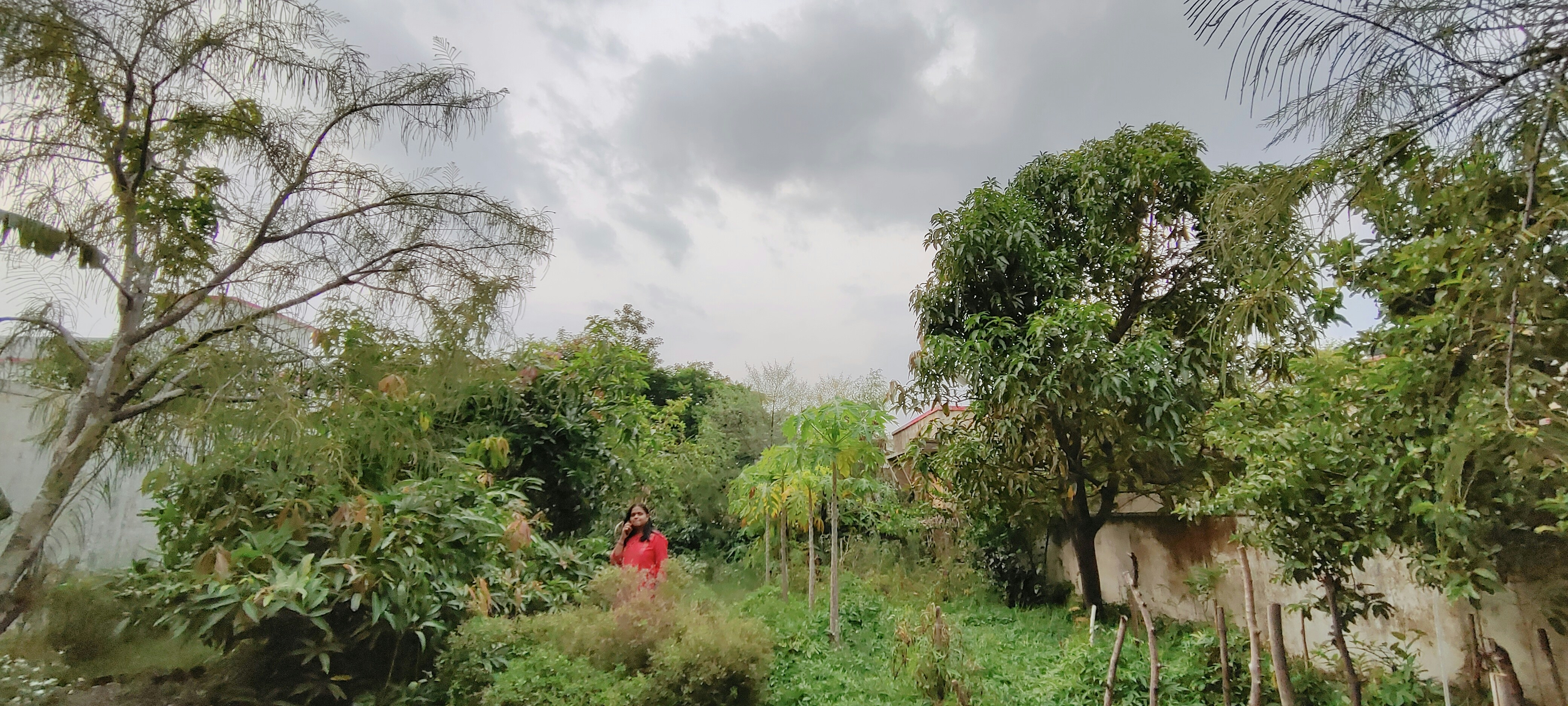 Photo by theapurvrathore