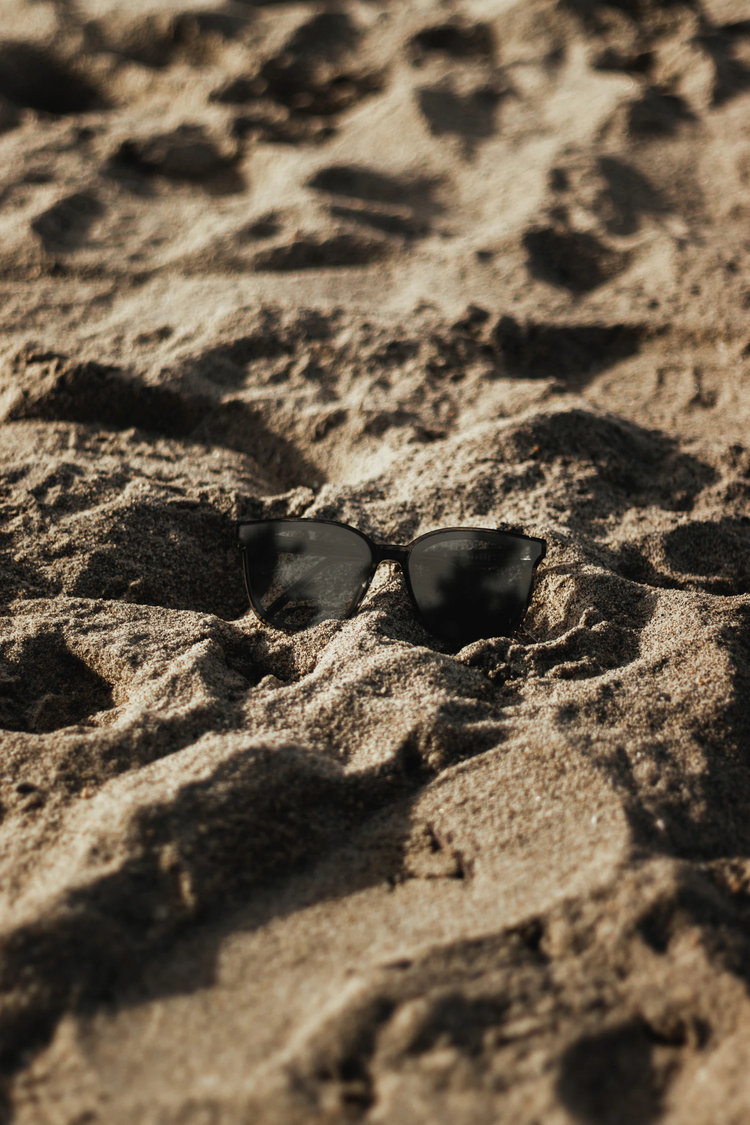 Sunglasses resting in warm sand