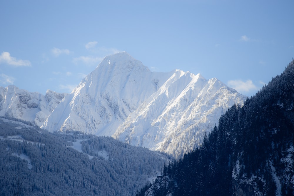 Una catena montuosa coperta di neve con alberi in primo piano