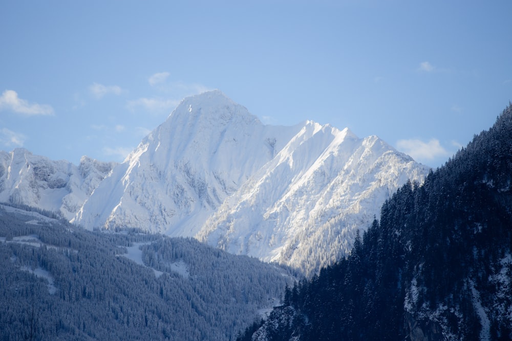 a snow covered mountain range with trees in the foreground