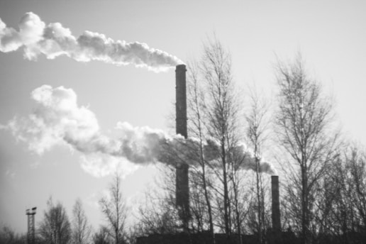Smoke billows from industrial chimneys, rising into the sky behind a line of bare trees. The scene is monochromatic, accentuating the stark, cold atmosphere.