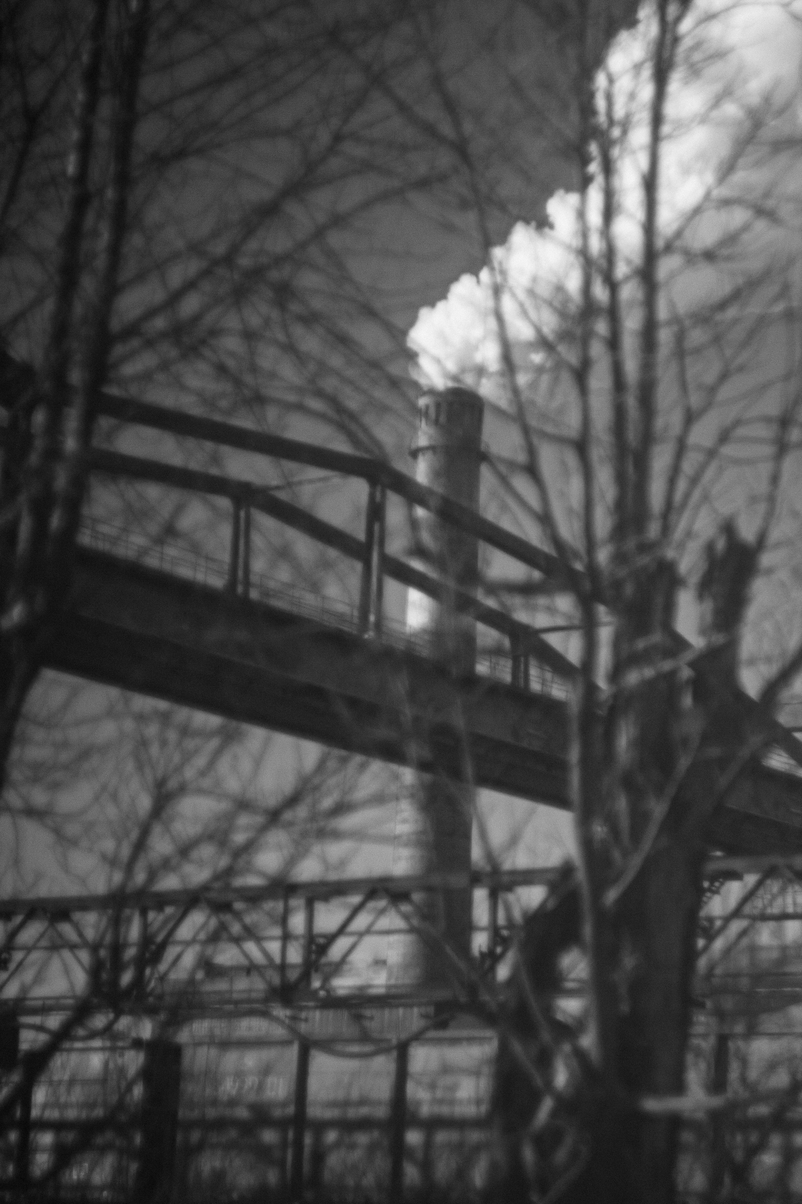 Photo by antohakraev