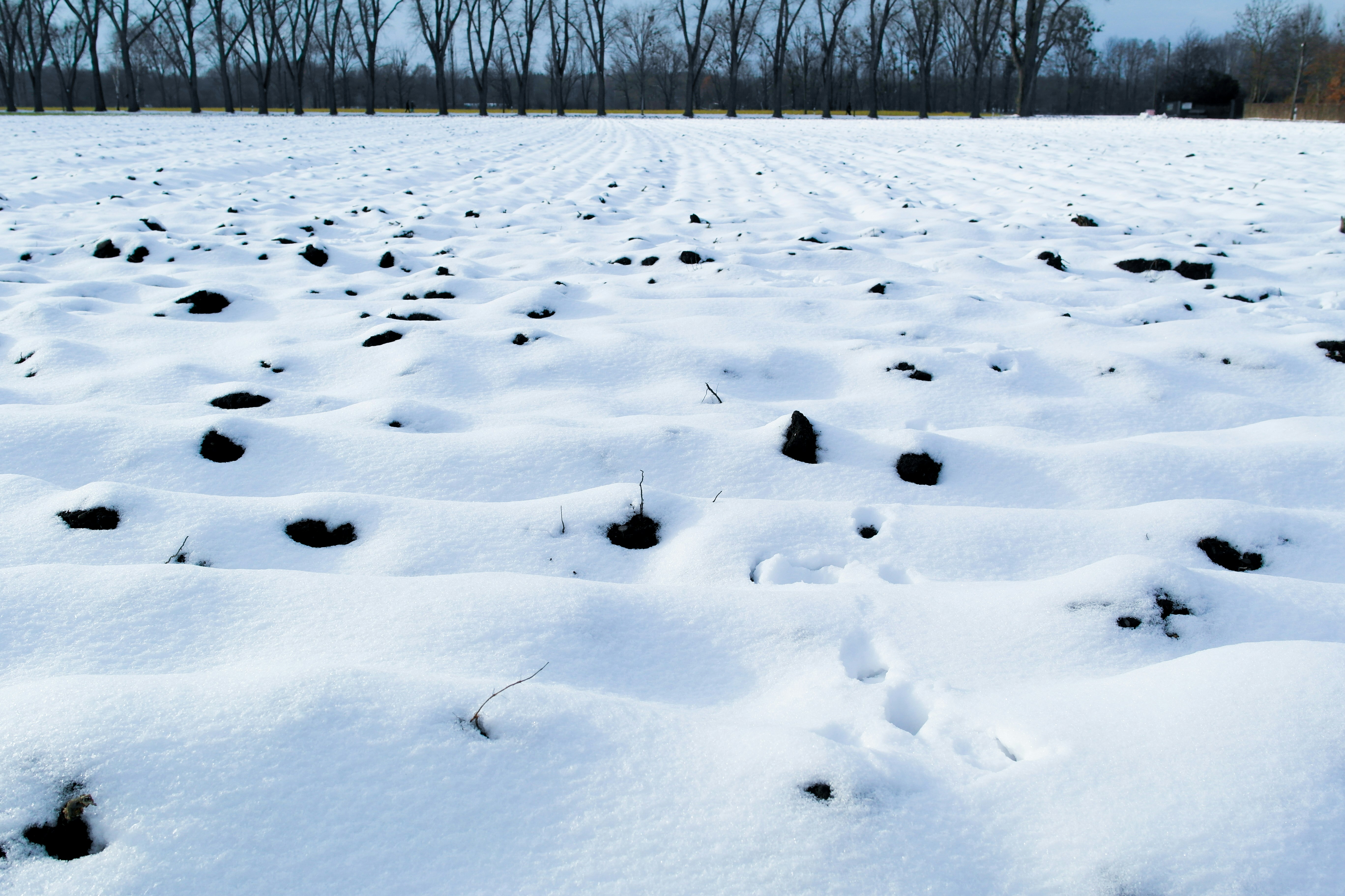 a field covered in snow with trees in the background
