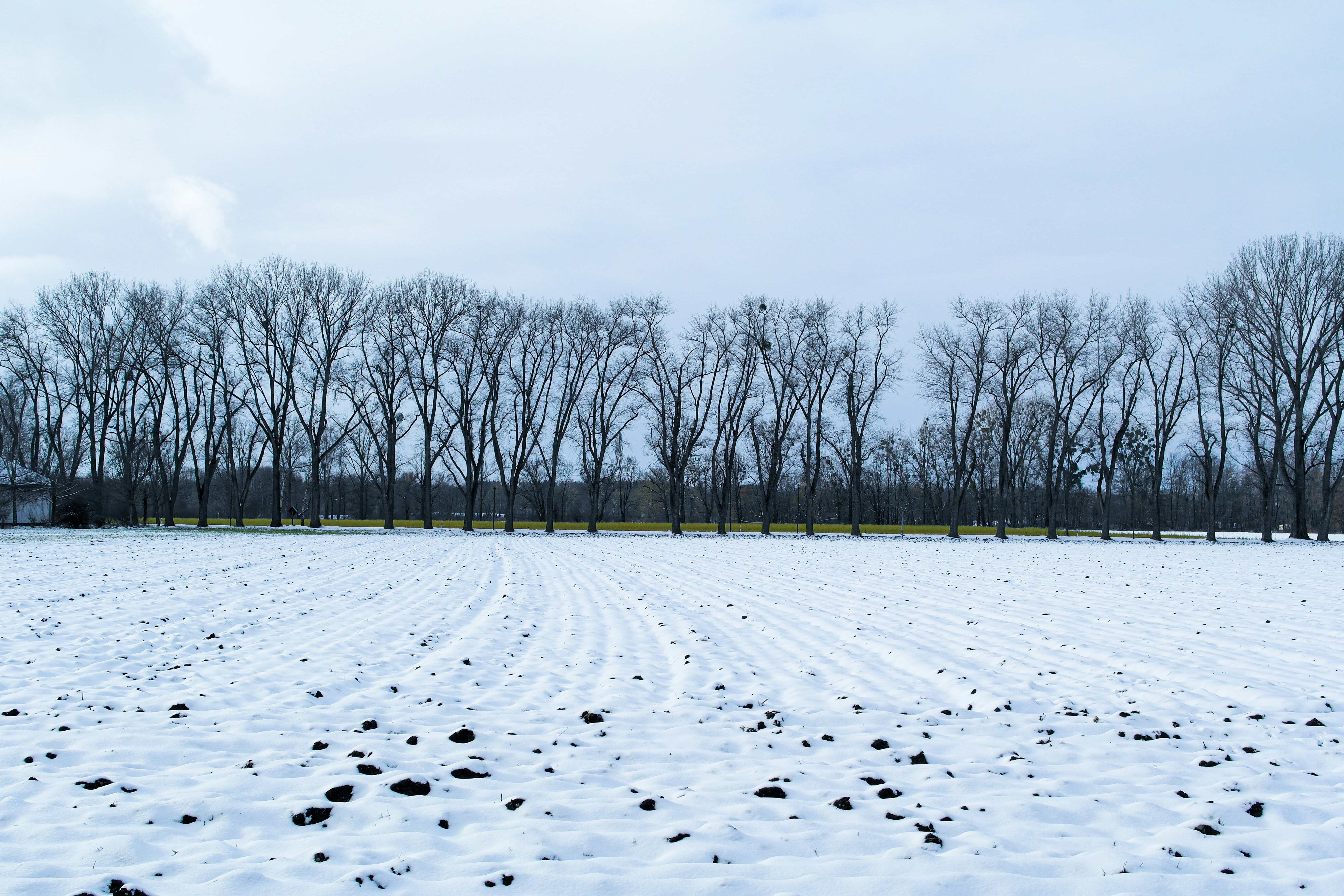 a snow covered field with trees in the background