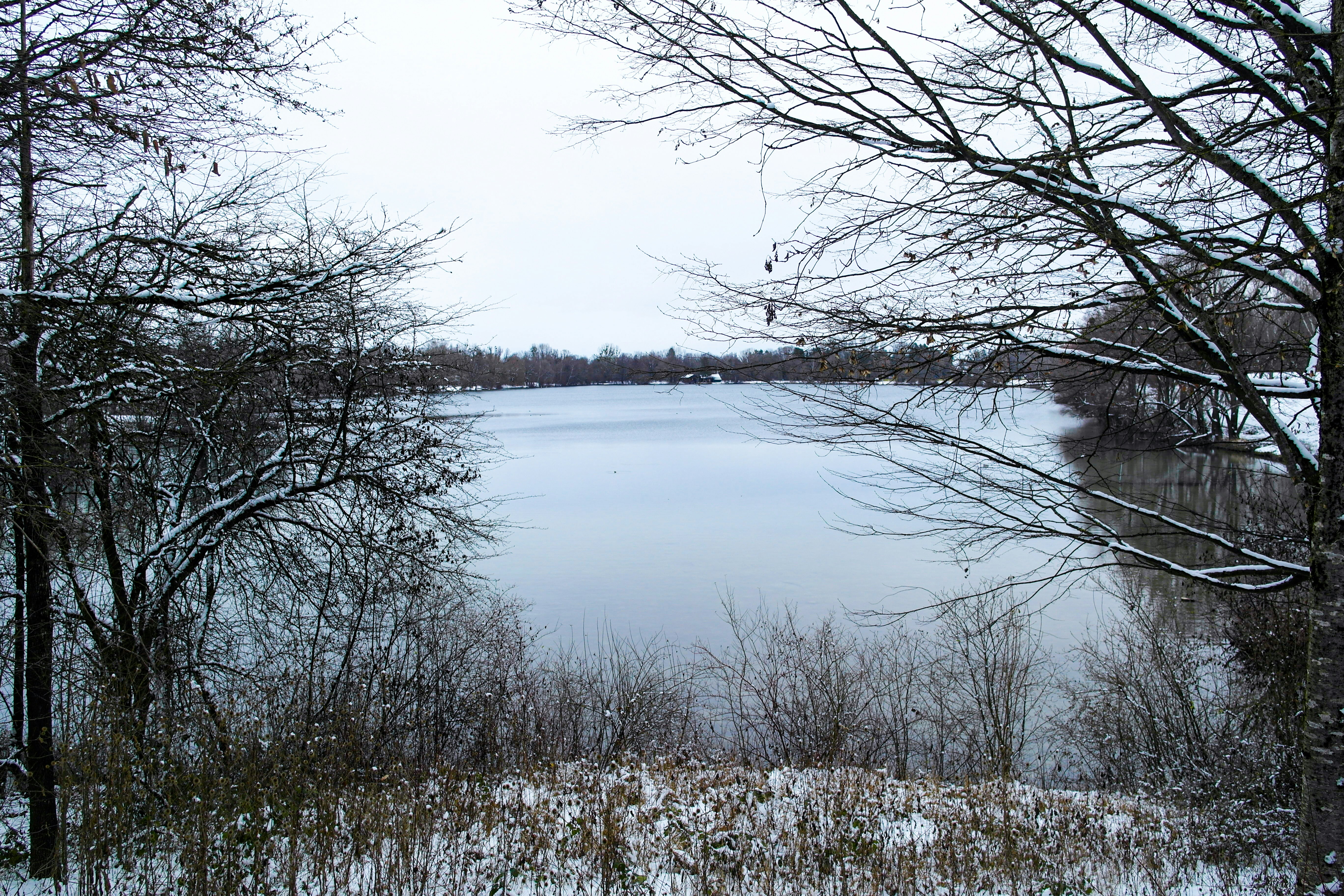 Photo by beatrixandreab