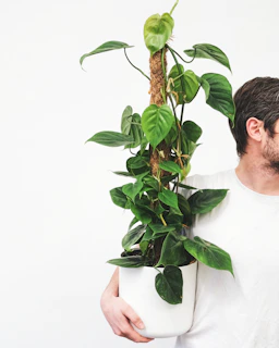 a man holding a potted plant in his hands
