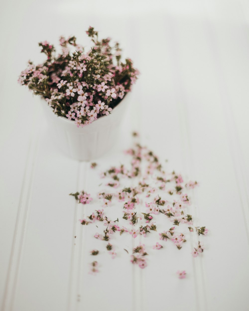 a small pot of tiny pink flowers on a white table