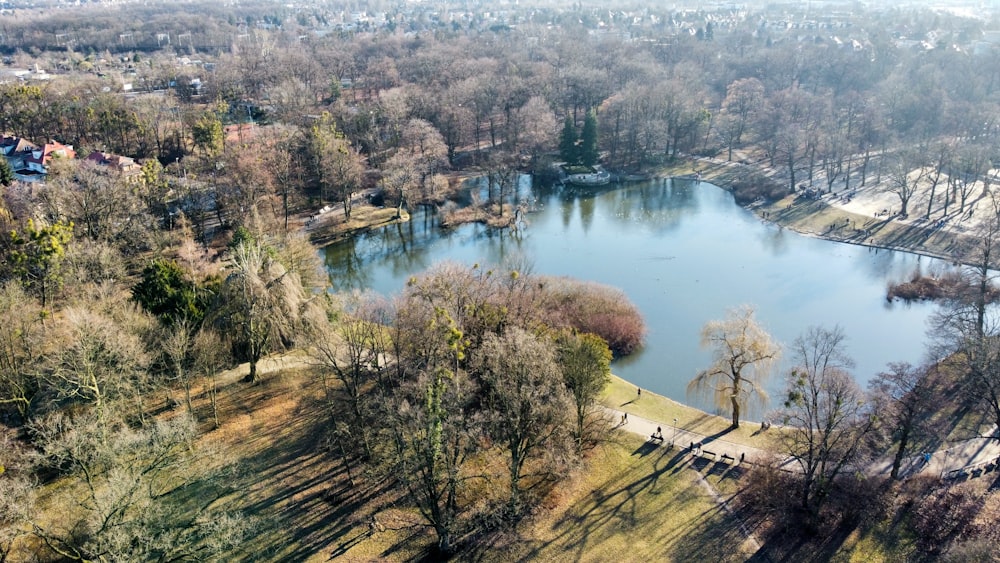 an aerial view of a lake surrounded by trees