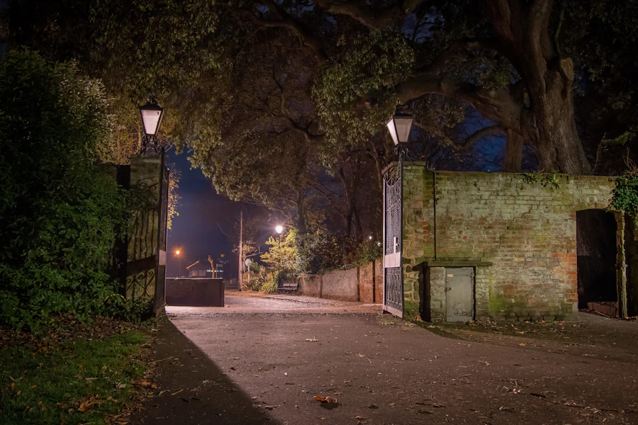 A residential street gate standing closed under a lamp at night.