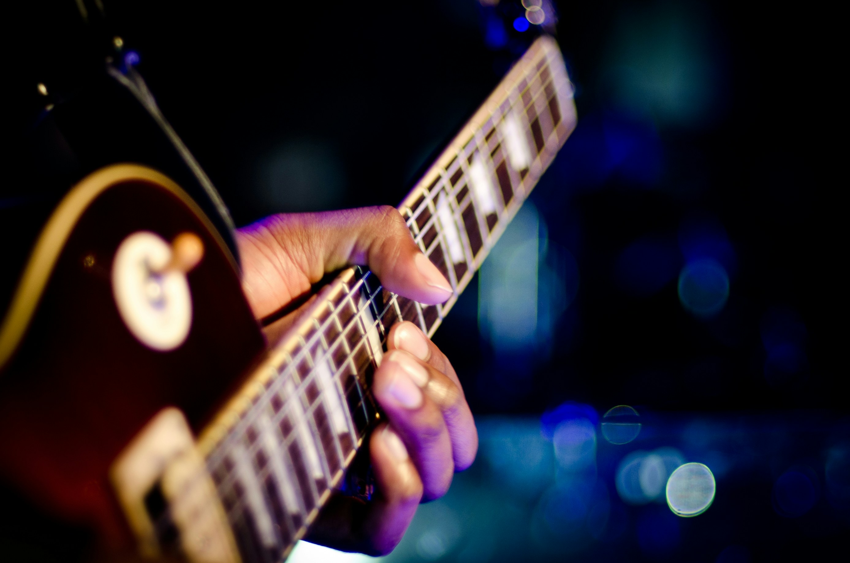 a path through a lush green forest filled with trees