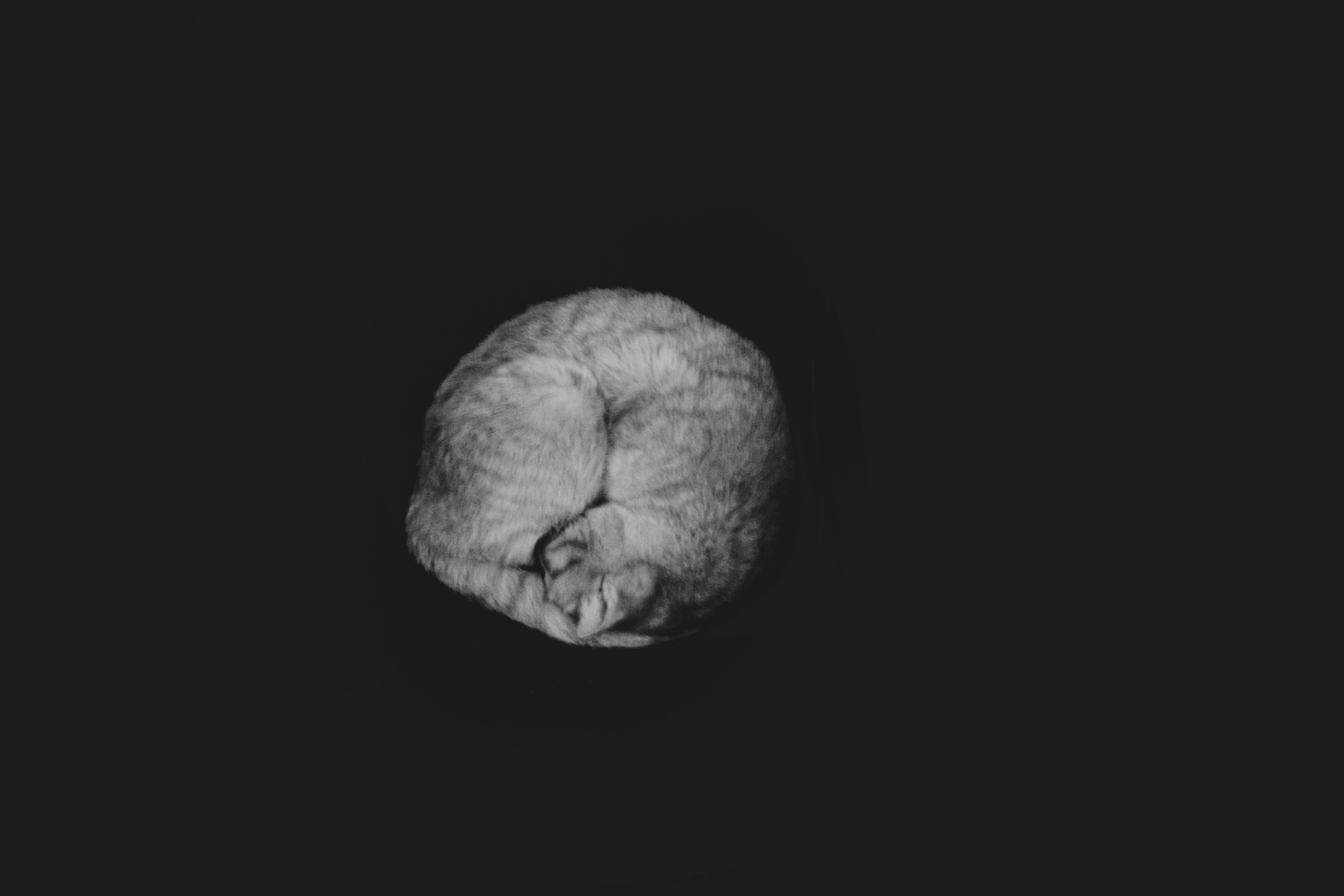 Photo by sam_badmaeva