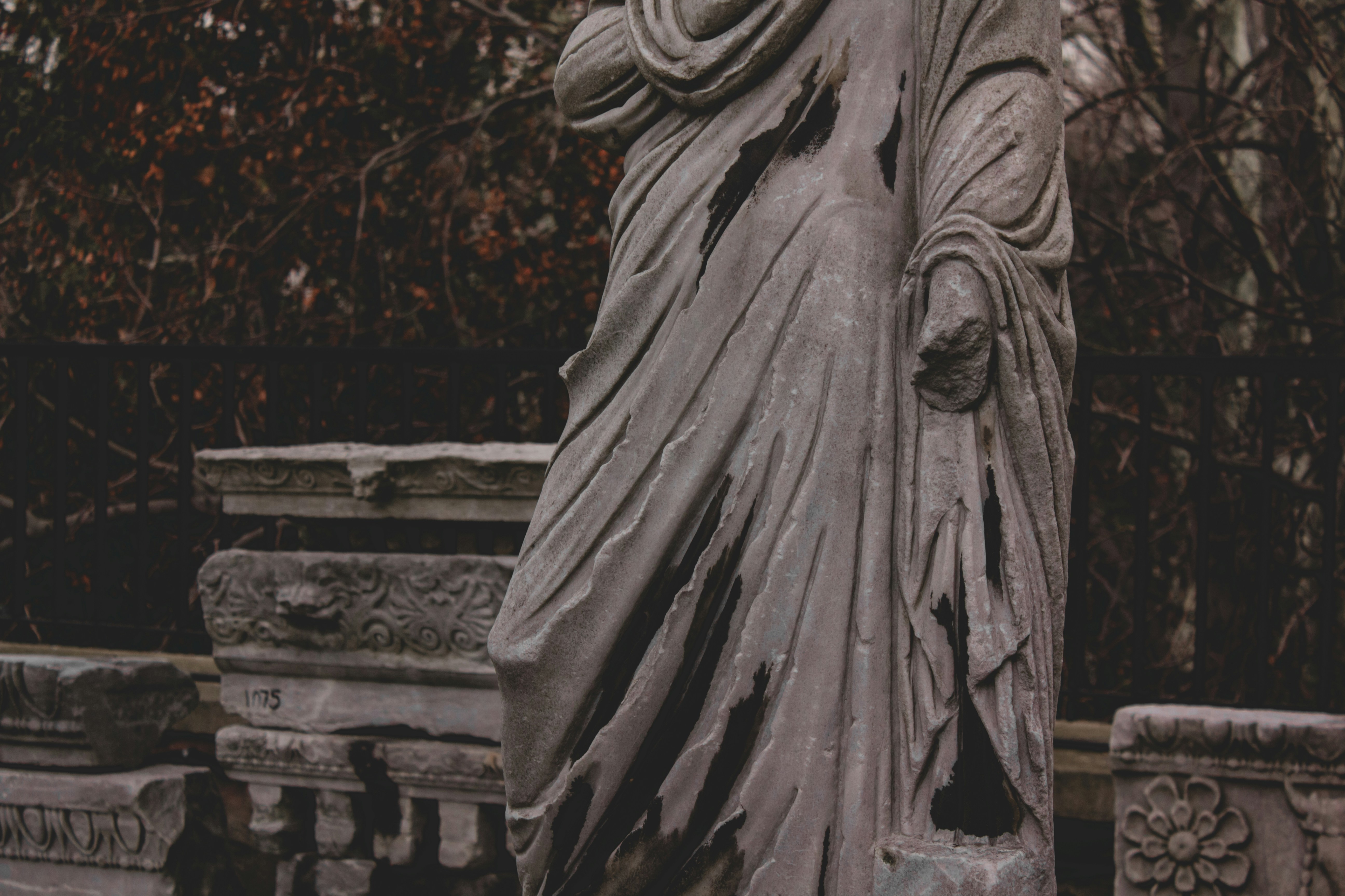 Photo by sam_badmaeva