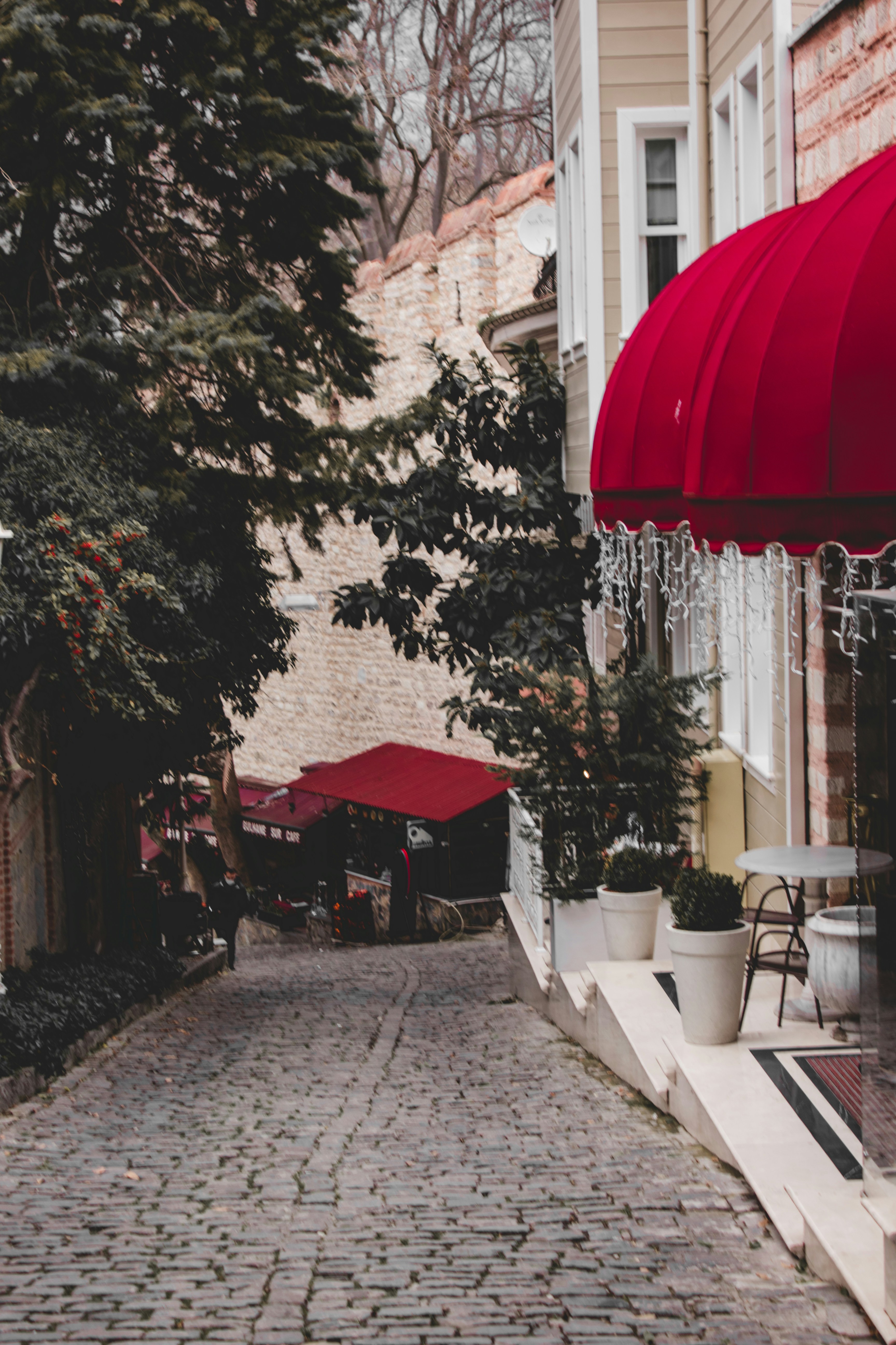 Photo by sam_badmaeva