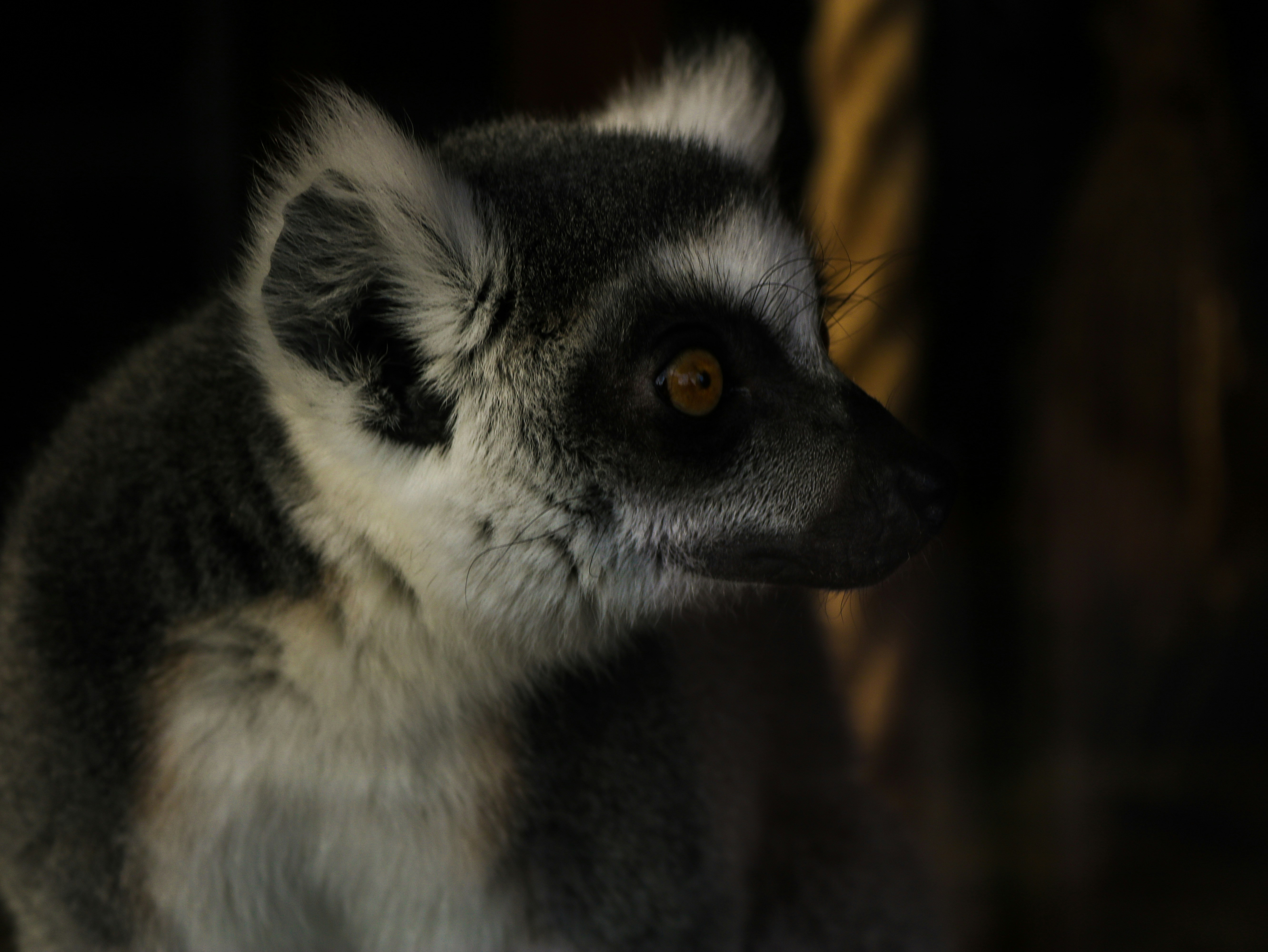 Photo by thee_photography_