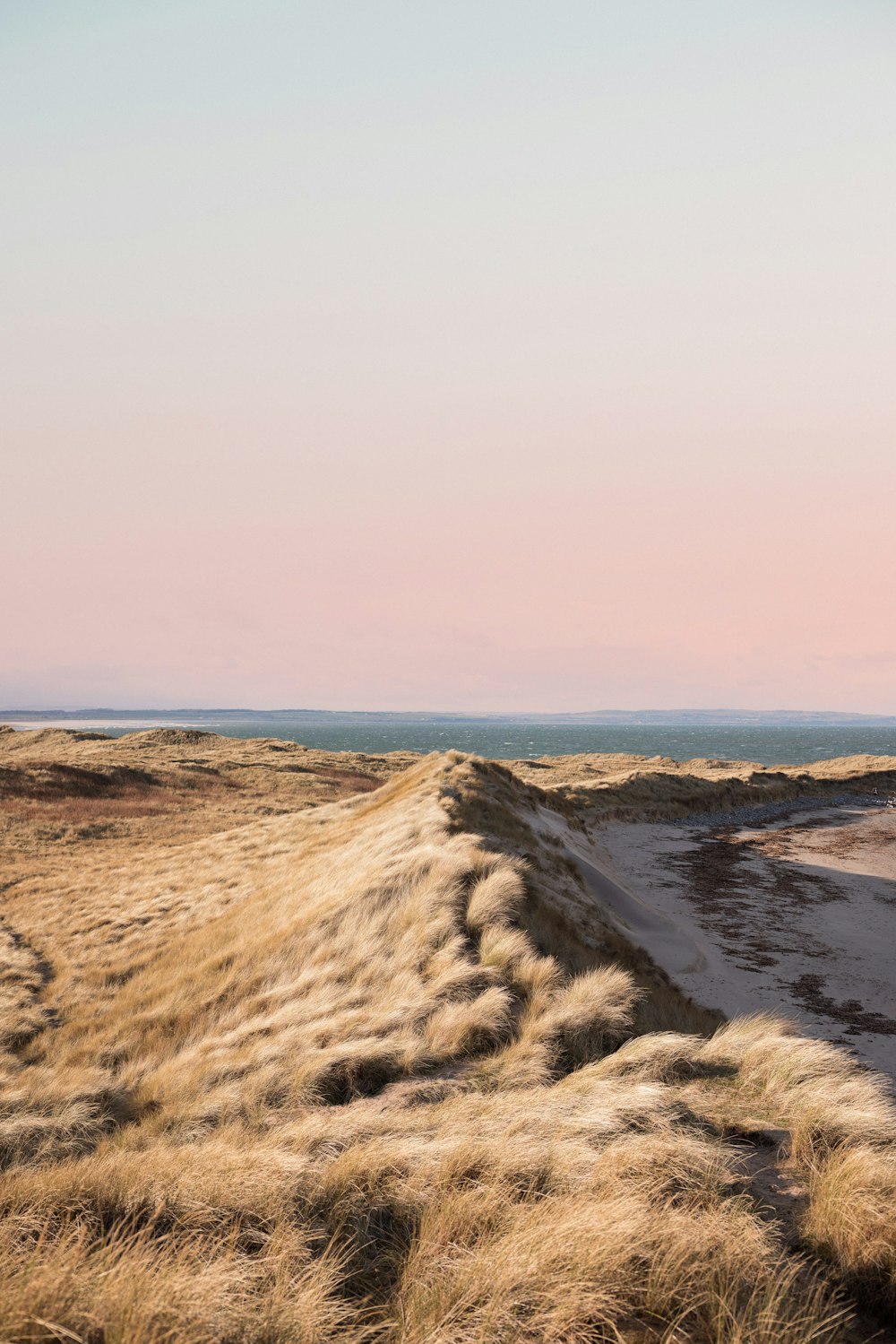 a dirt road in the middle of a dry grass field