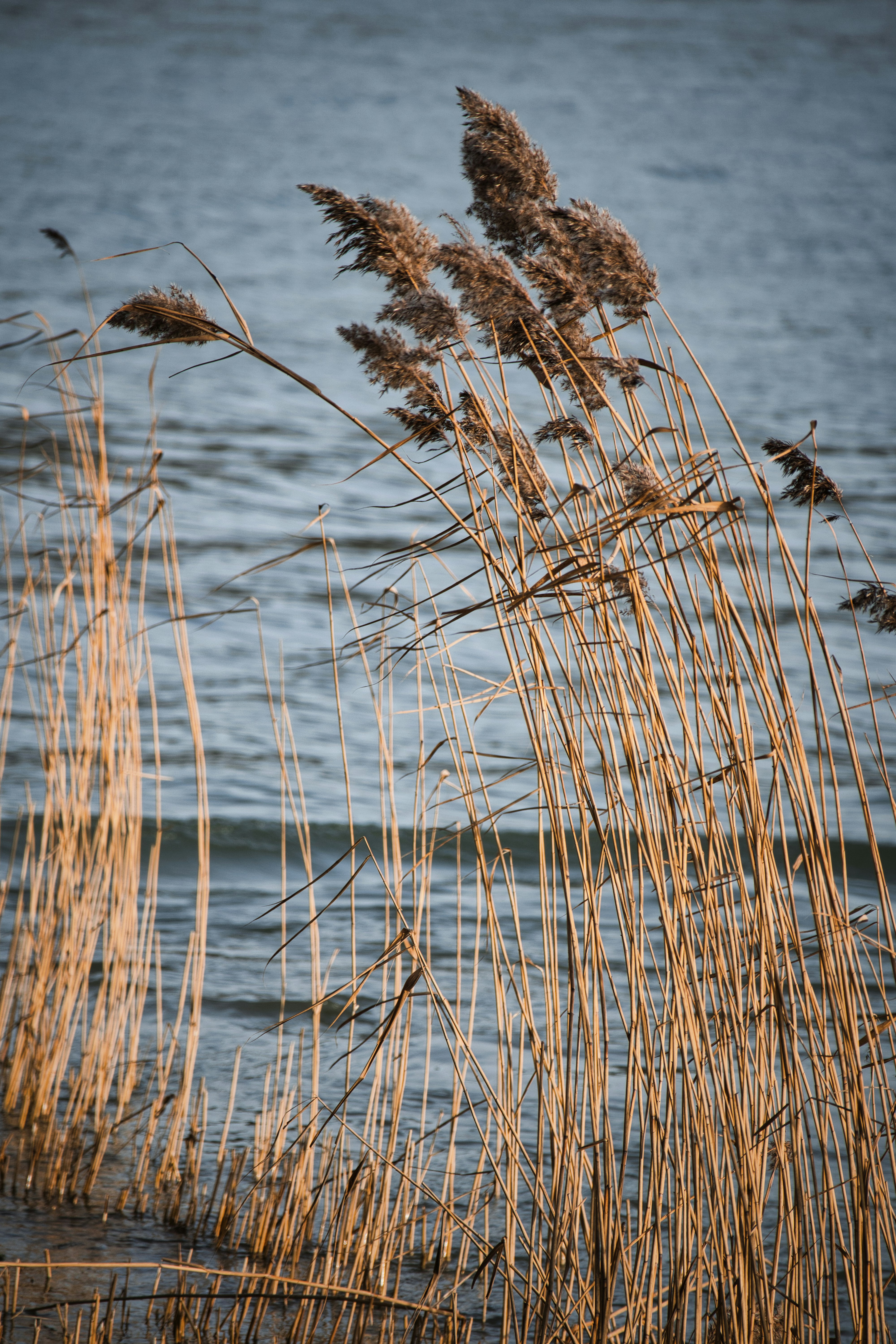 Photo by newe_photography