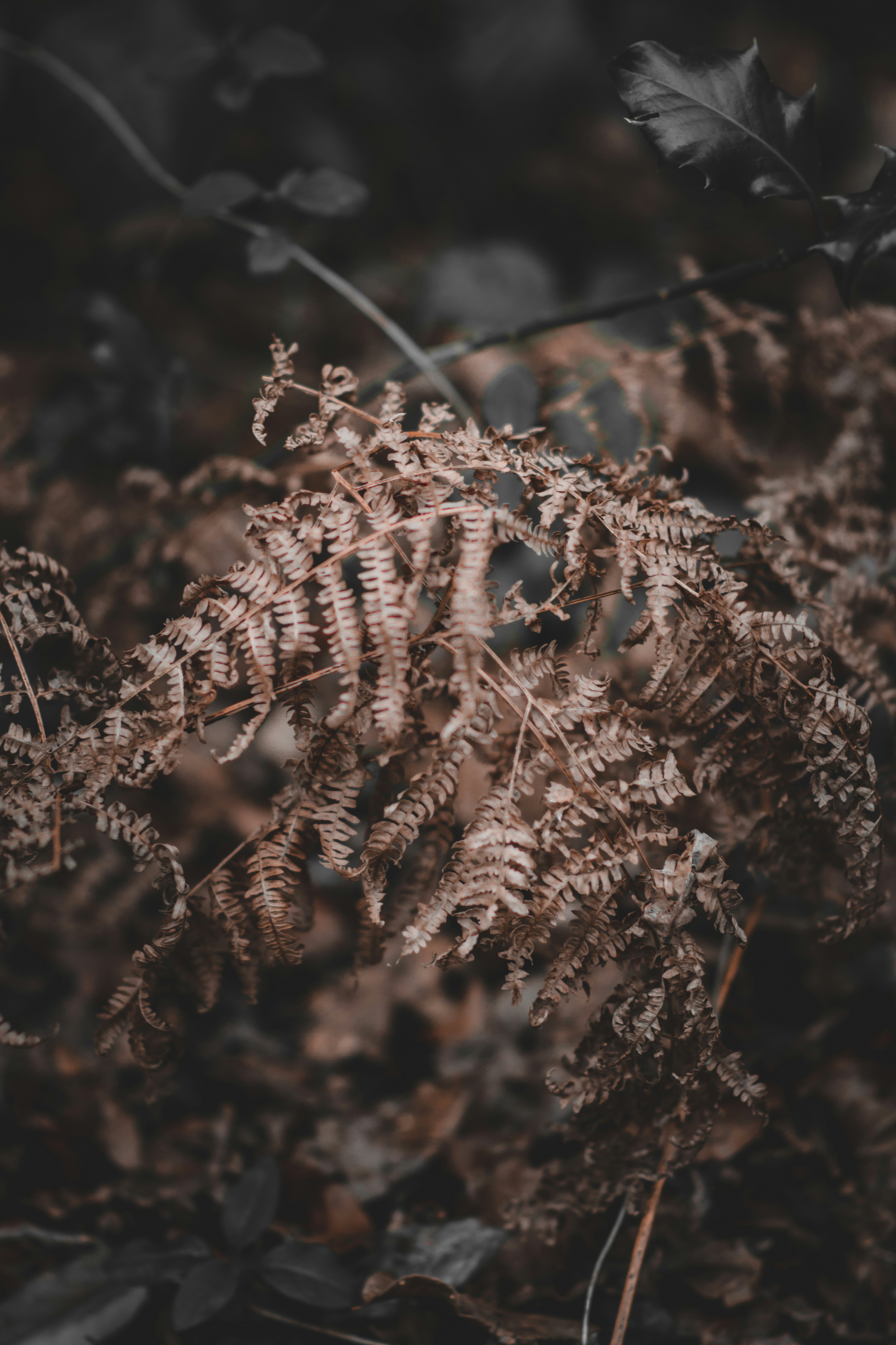 Photo by elliottmason