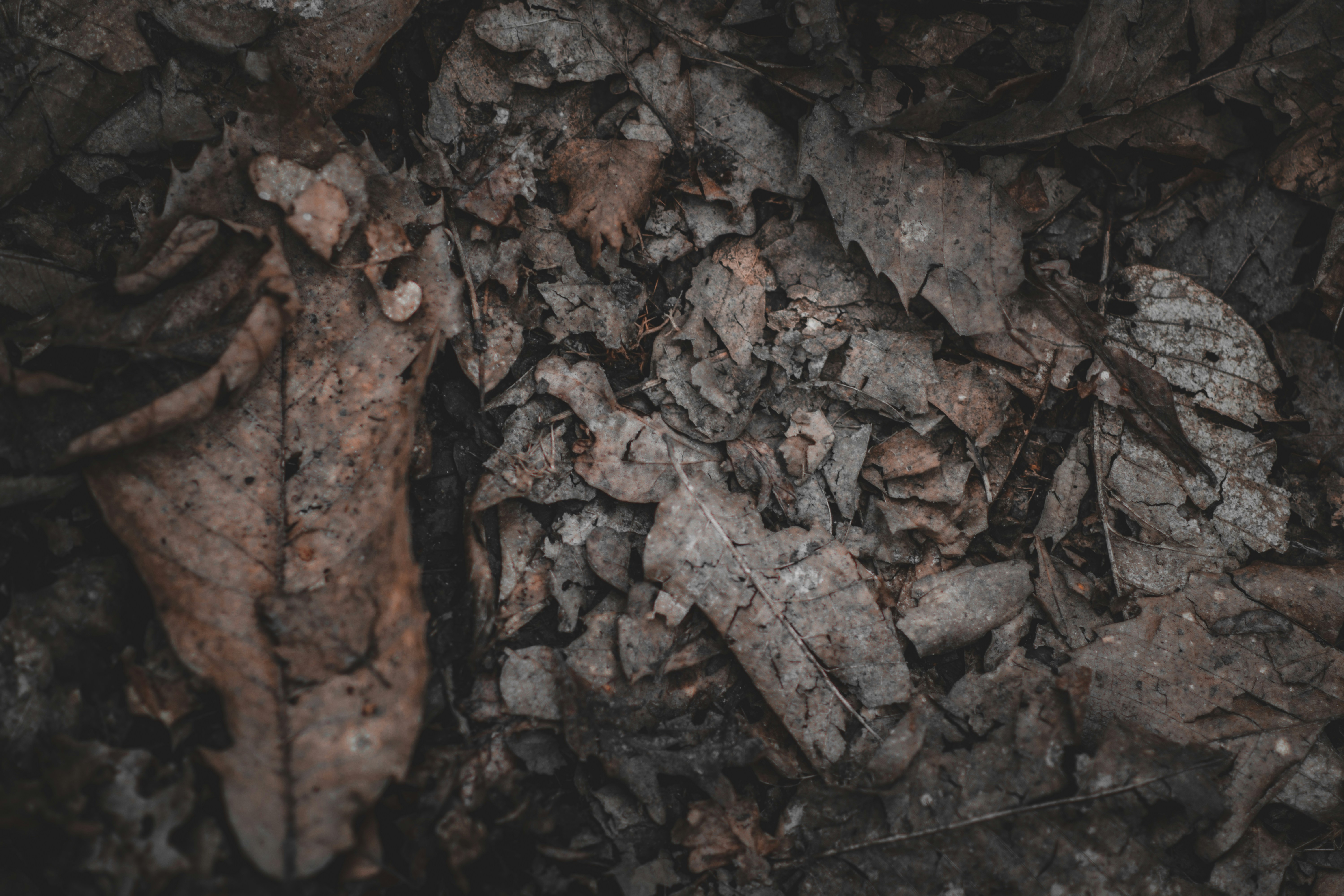 Photo by elliottmason