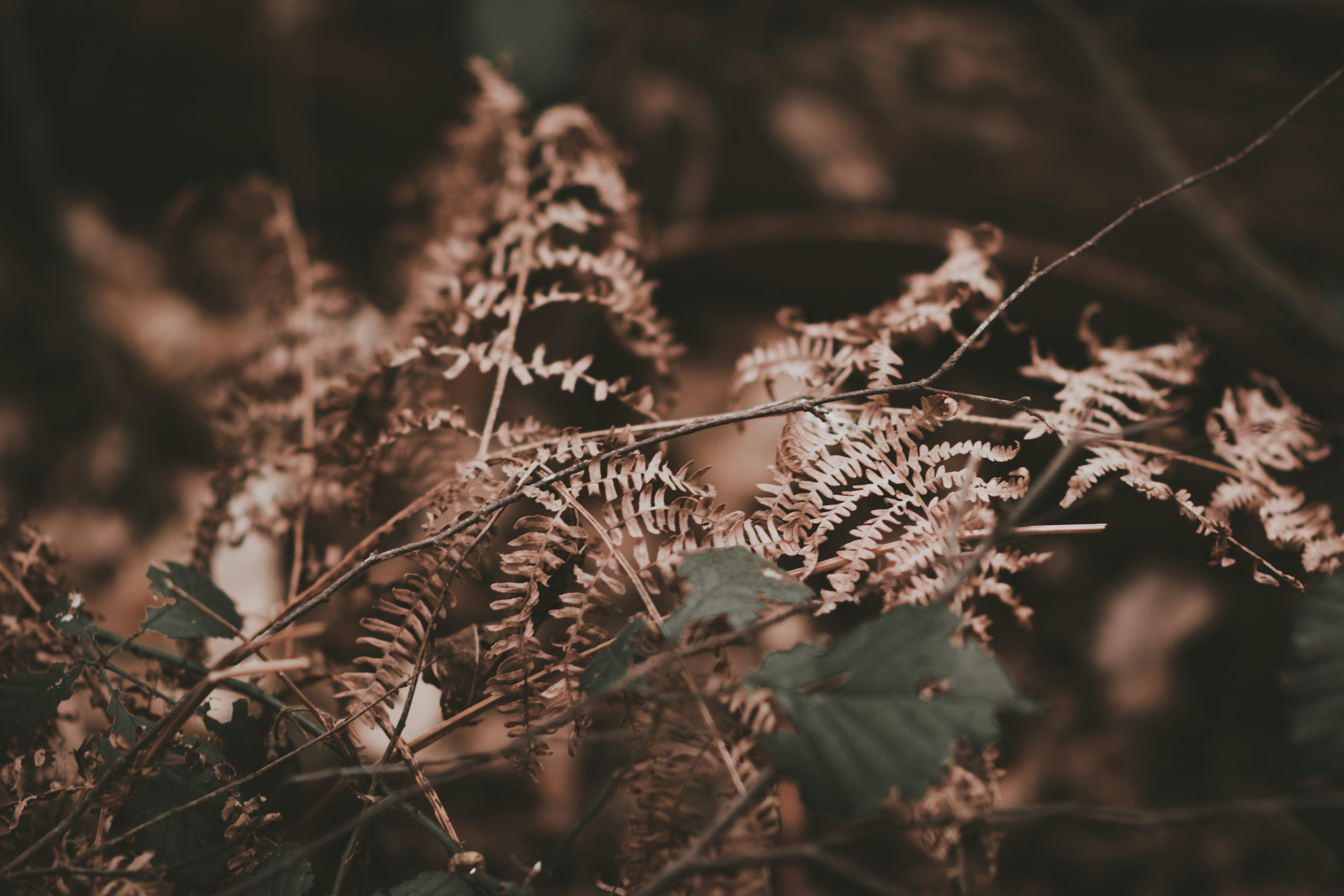 Photo by elliottmason