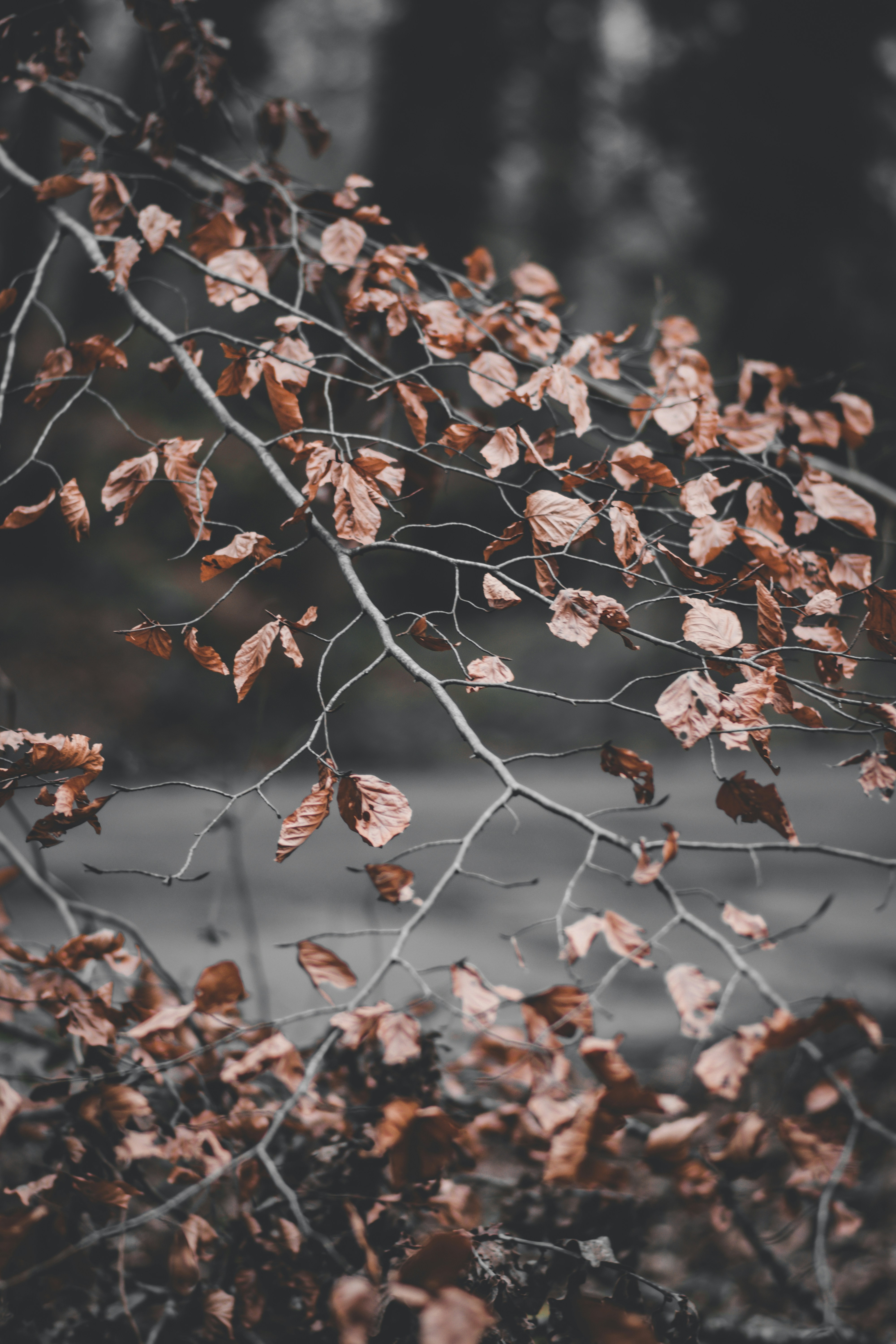 Photo by elliottmason