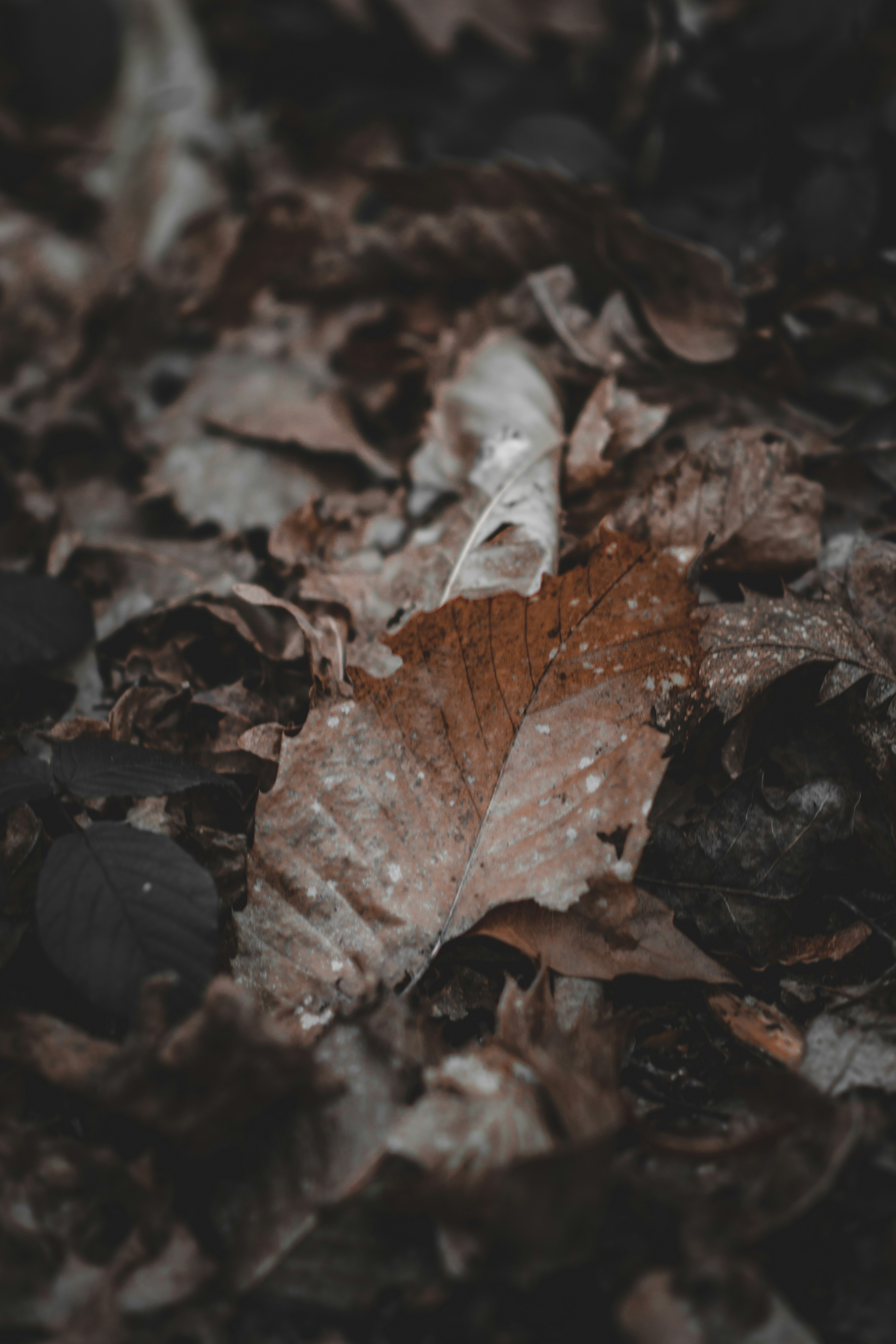 Photo by elliottmason