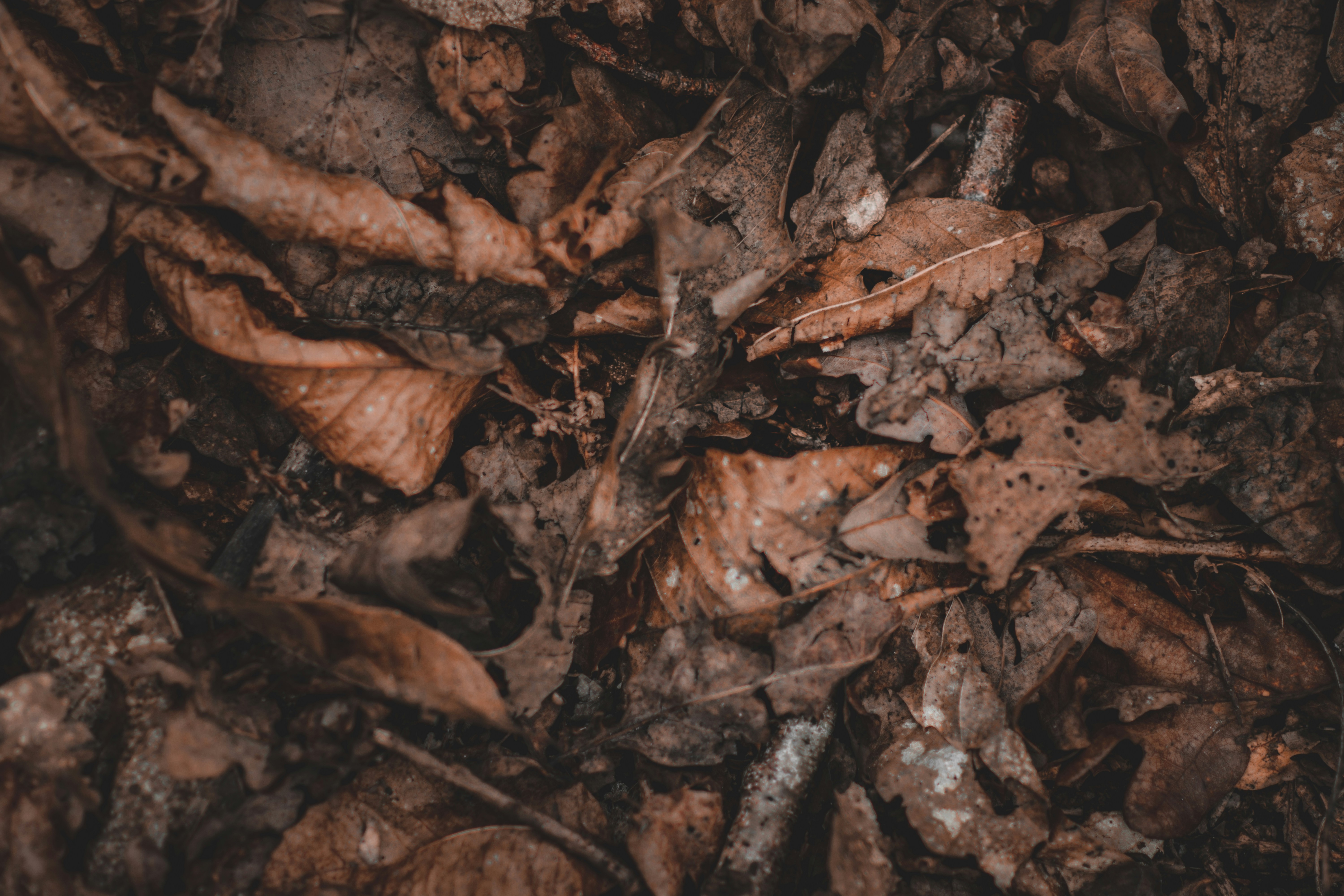 Photo by elliottmason