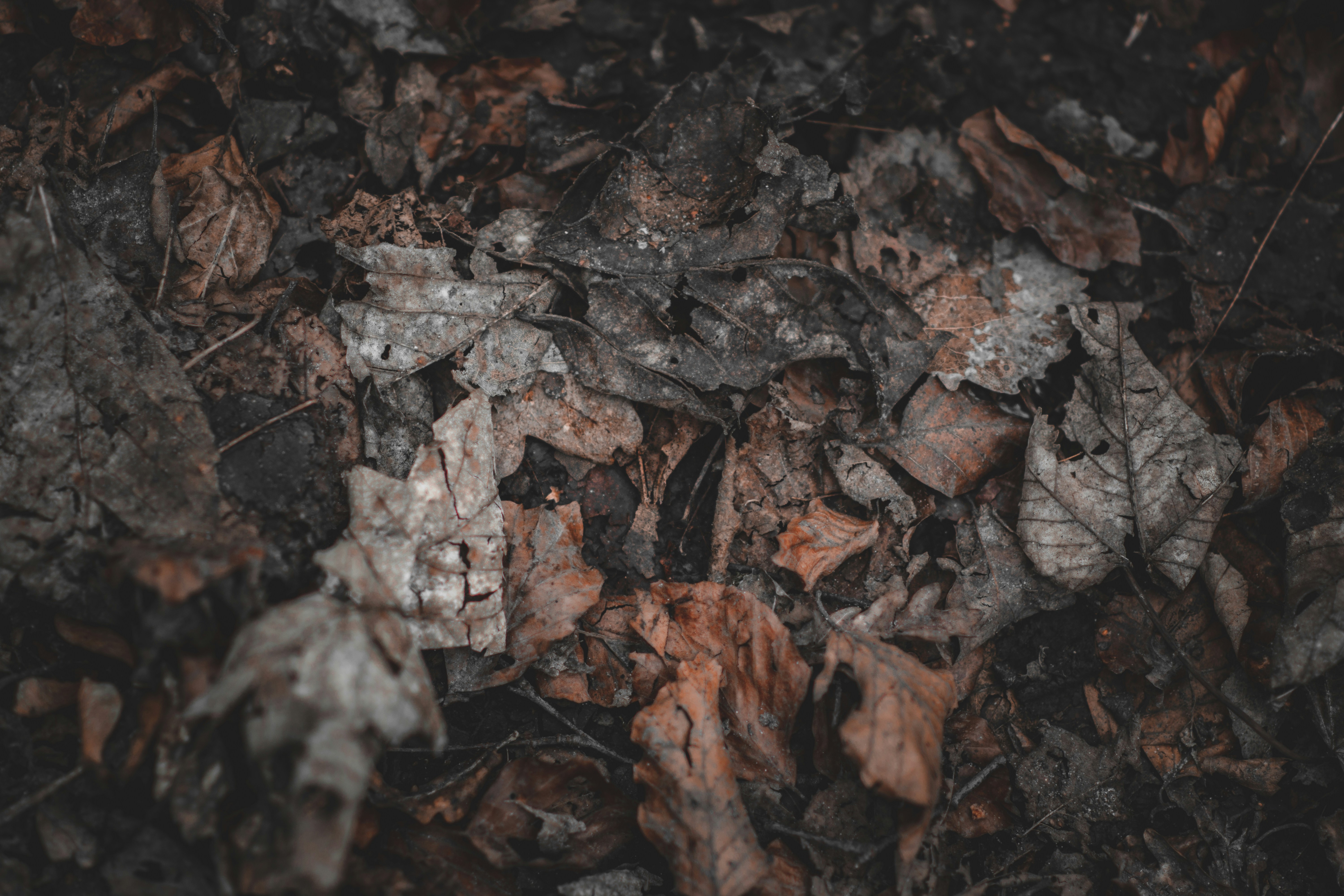 Photo by elliottmason