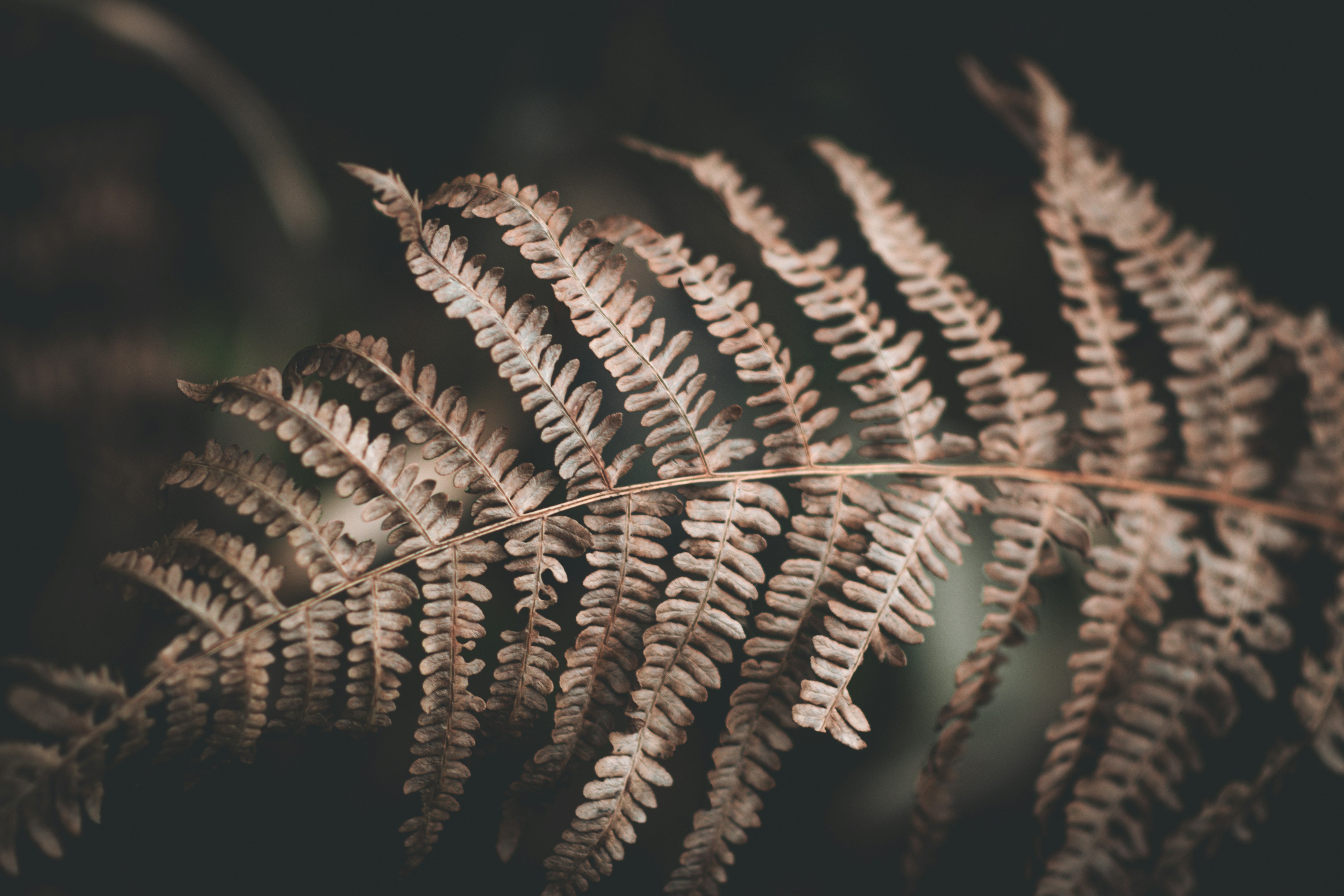 Photo by elliottmason