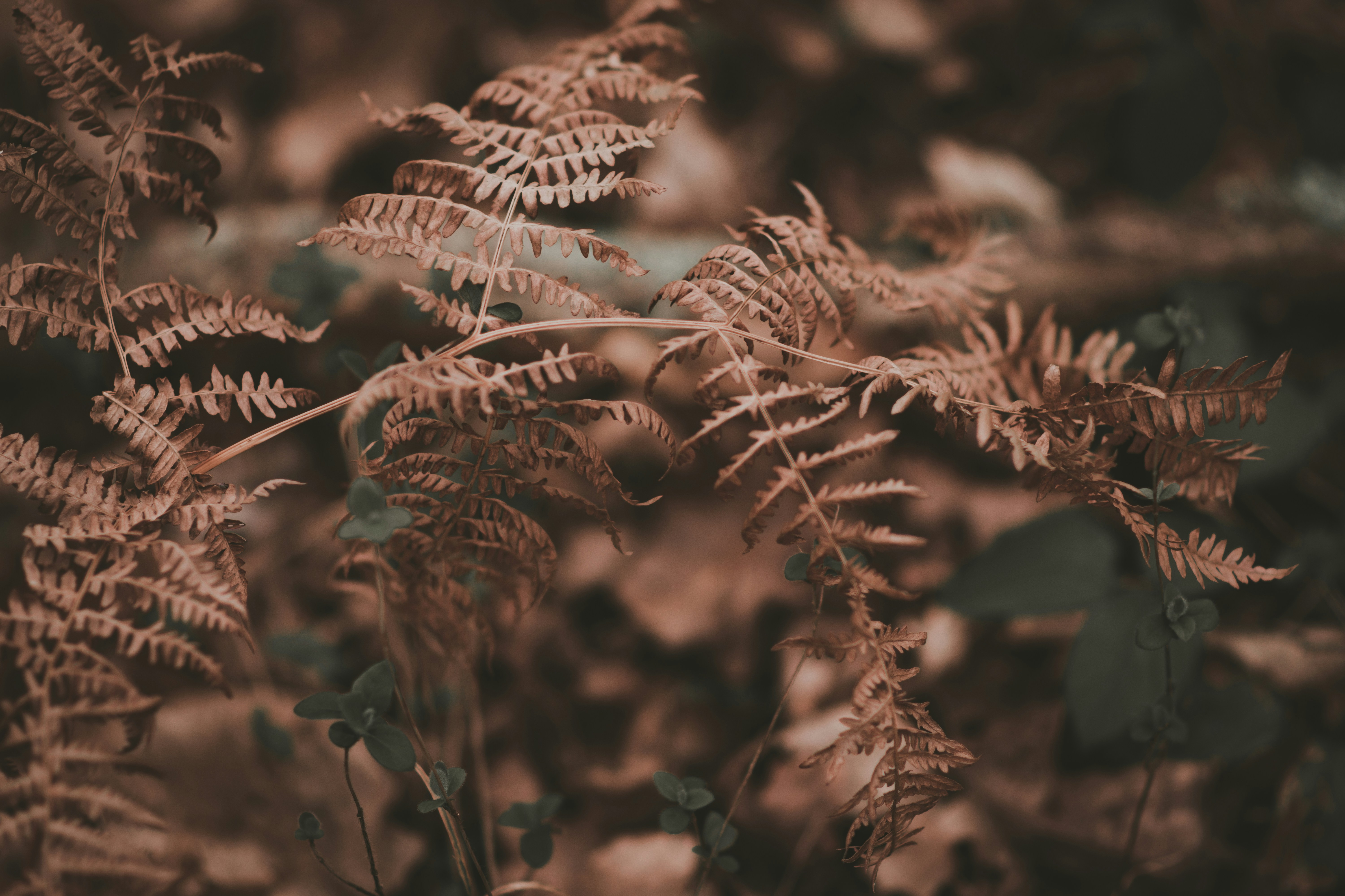 Photo by elliottmason