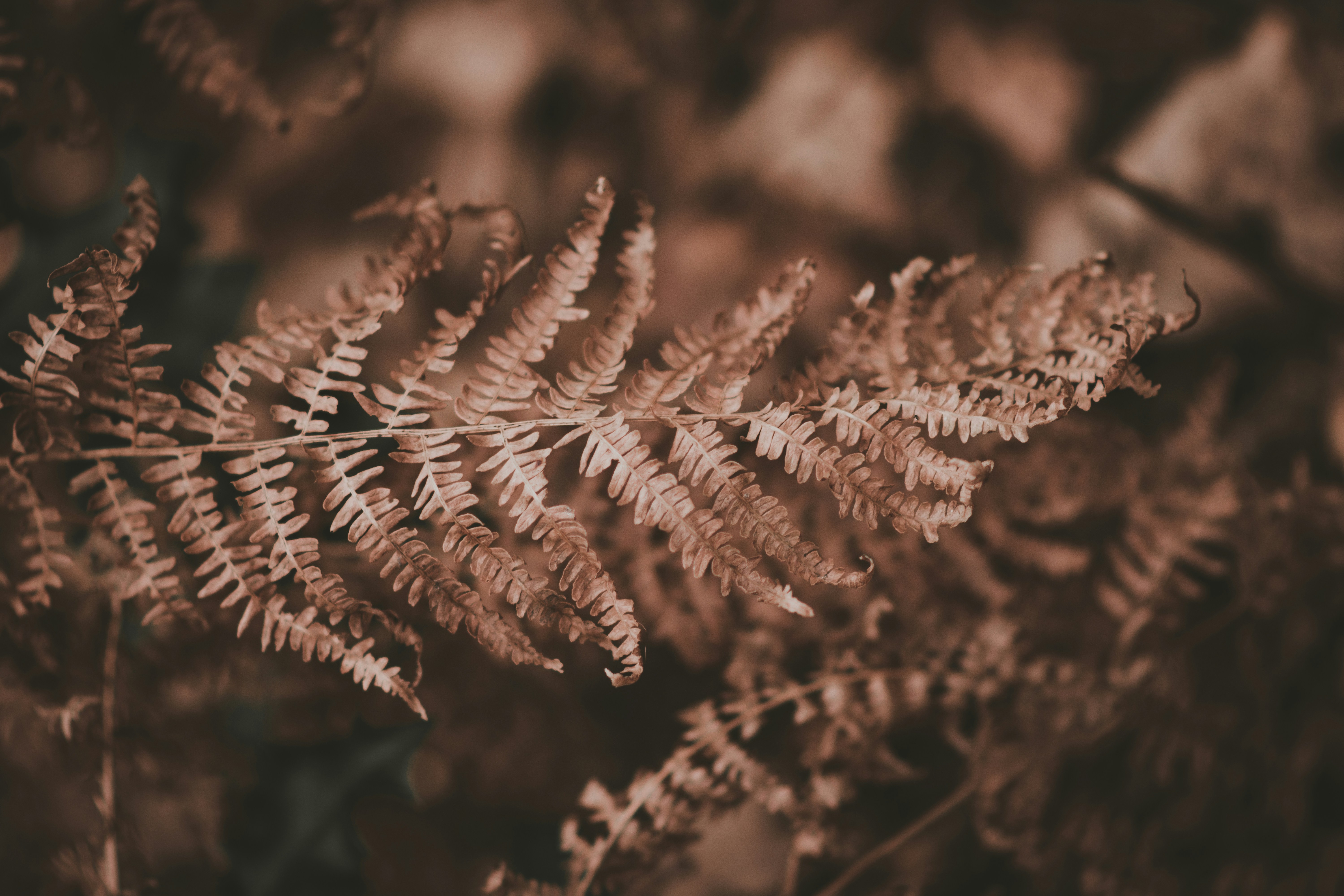 Photo by elliottmason