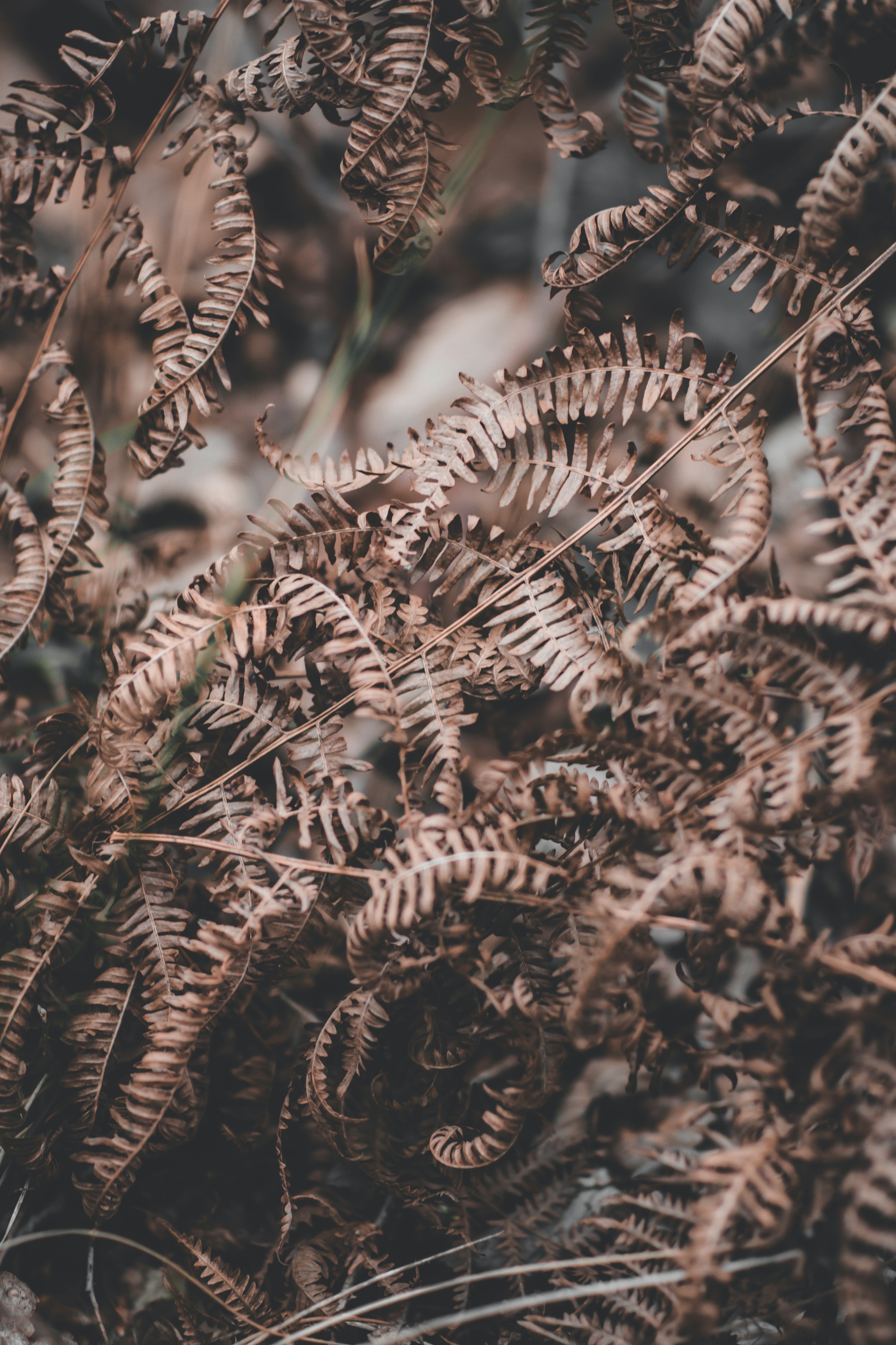 Photo by elliottmason