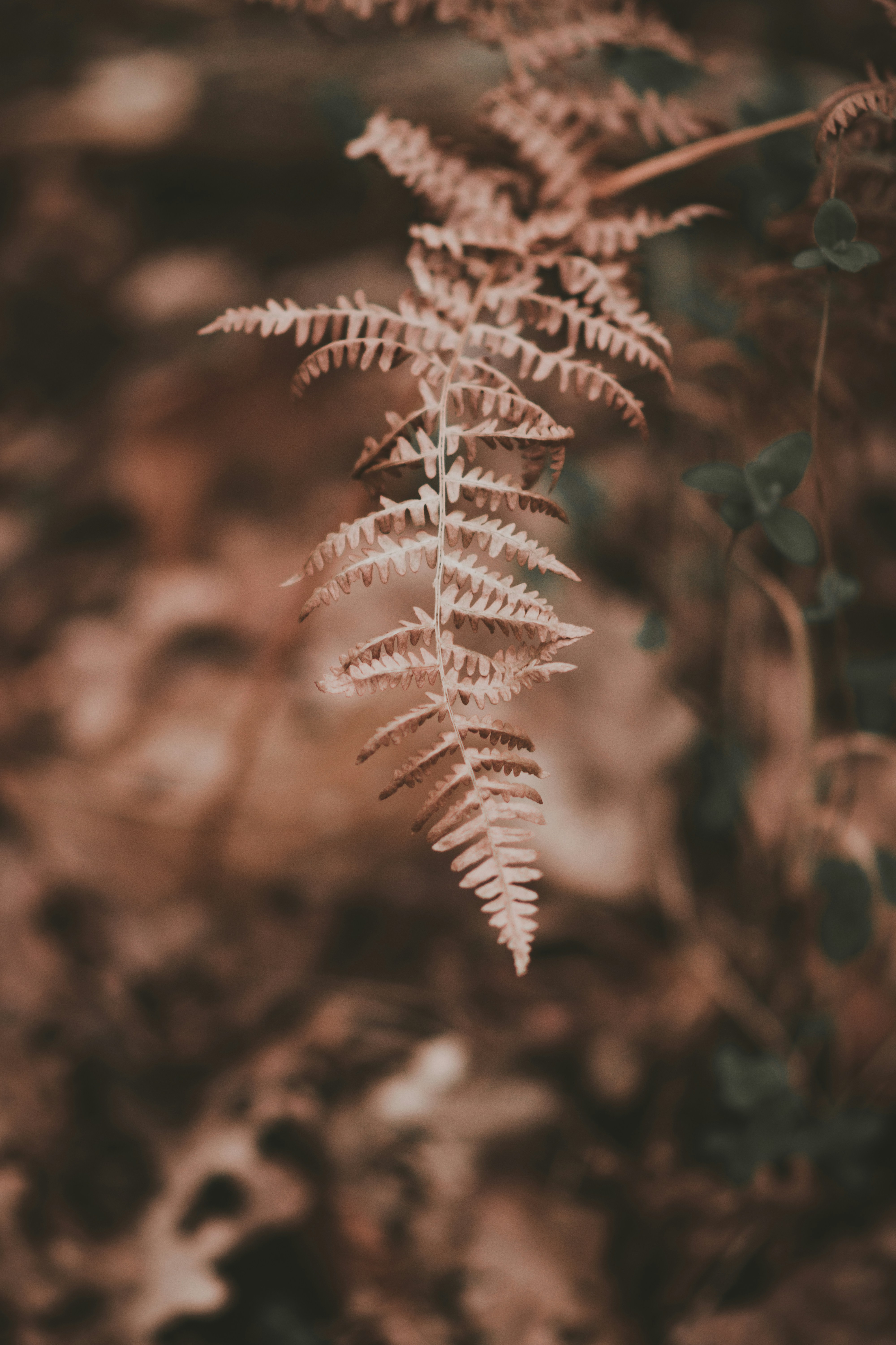 Photo by elliottmason