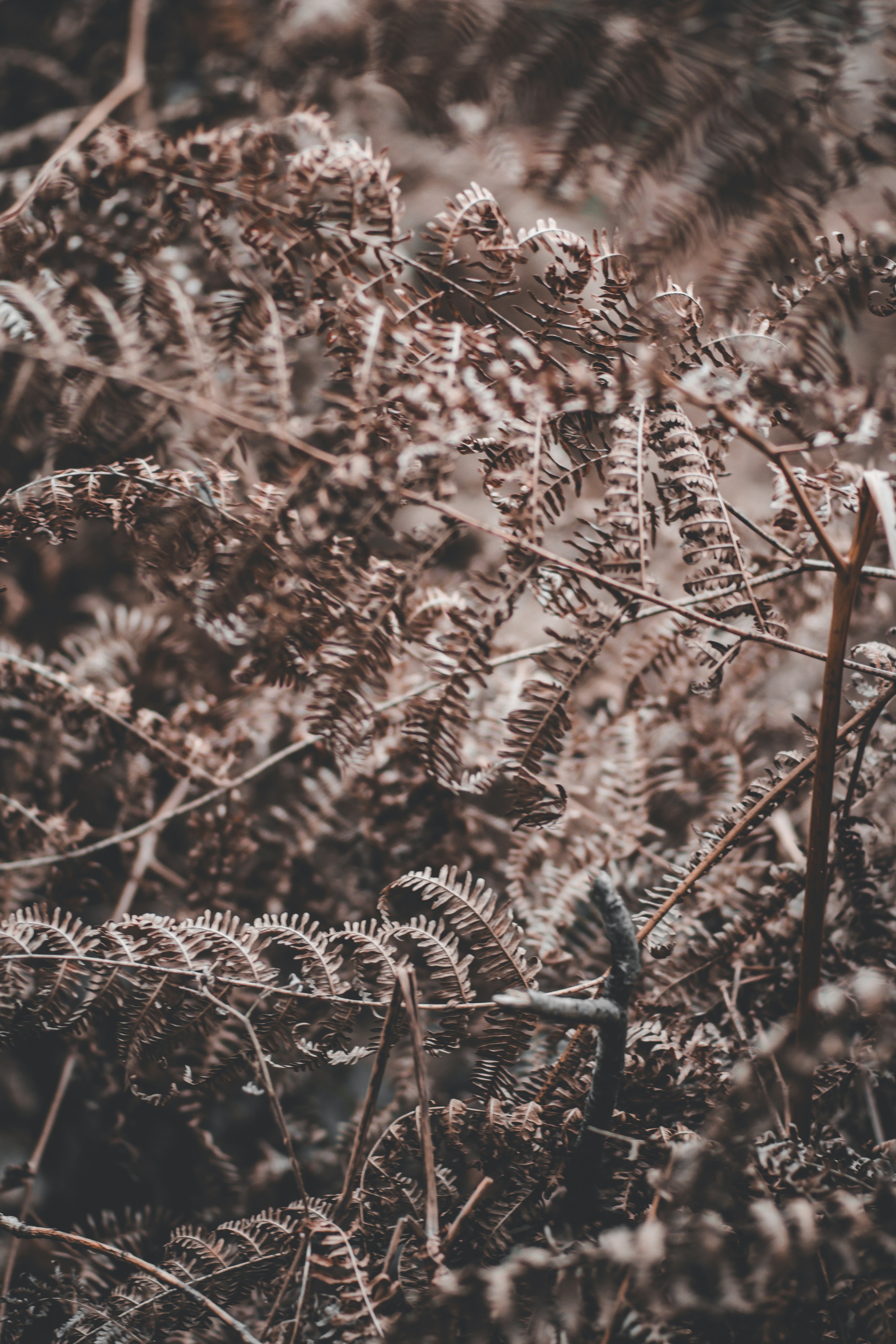 Photo by elliottmason