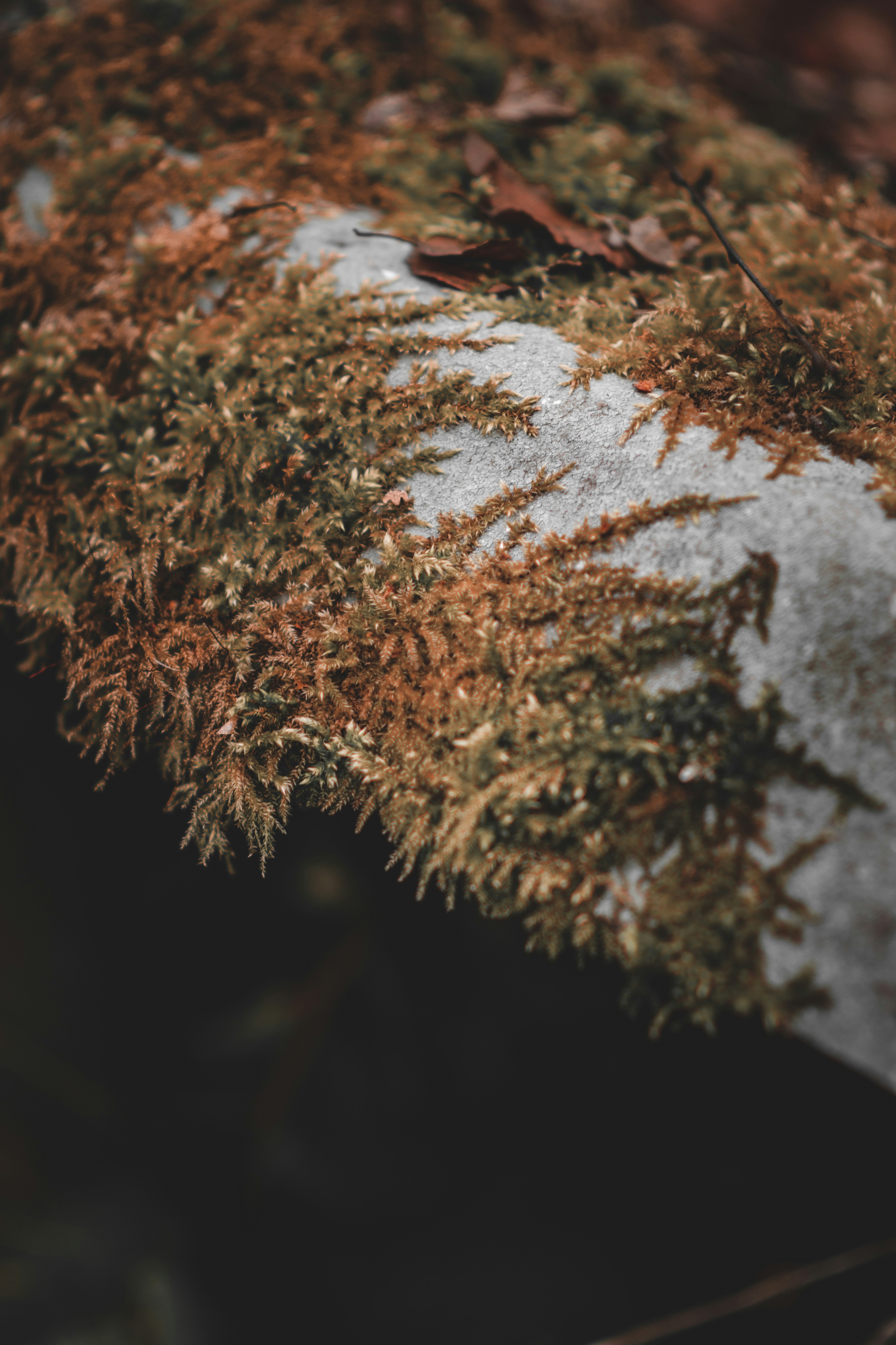 Photo by elliottmason