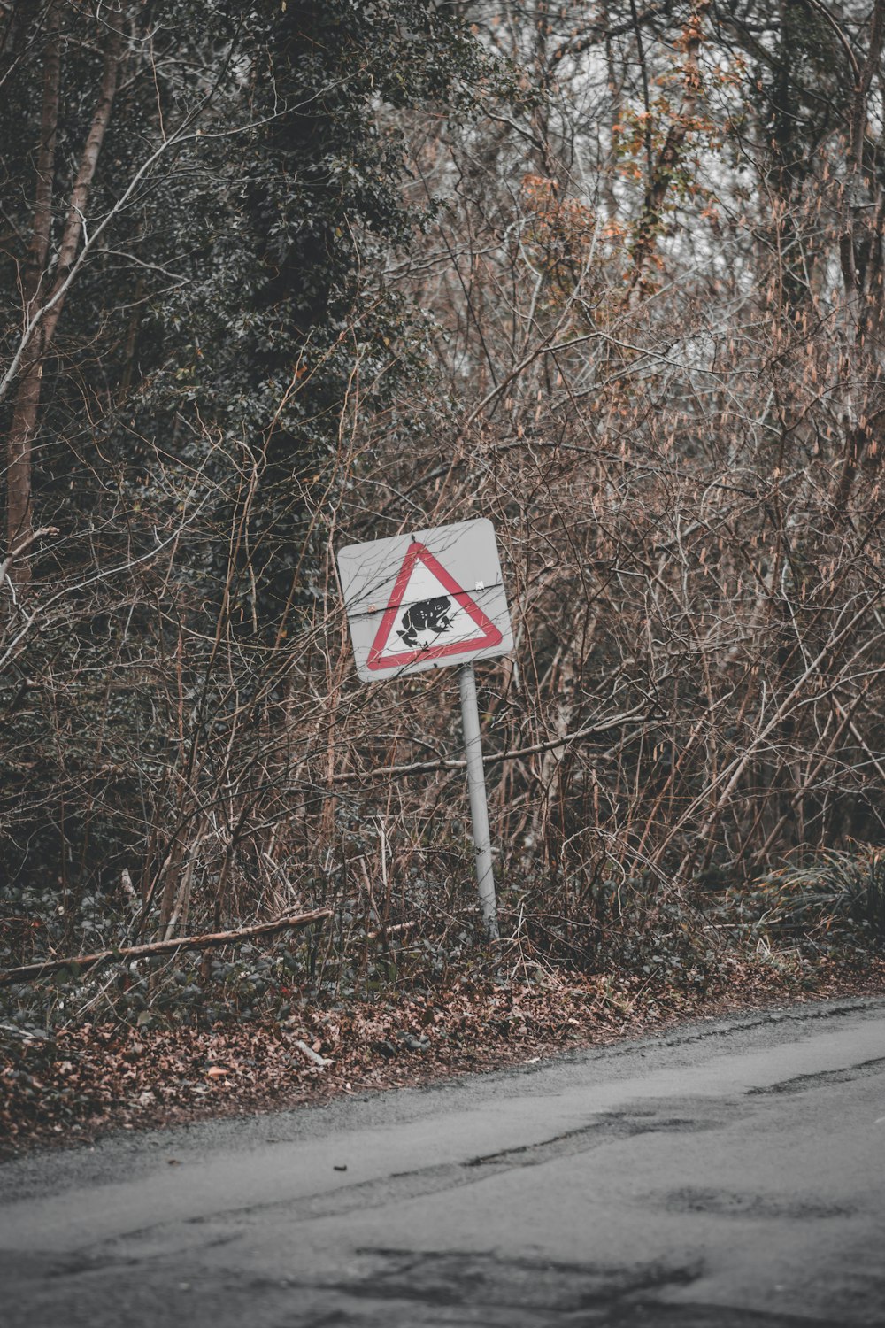 a street sign sitting on the side of a road