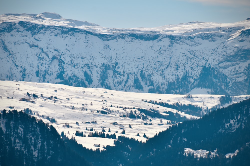 uma vista de uma cordilheira nevada com árvores em primeiro plano