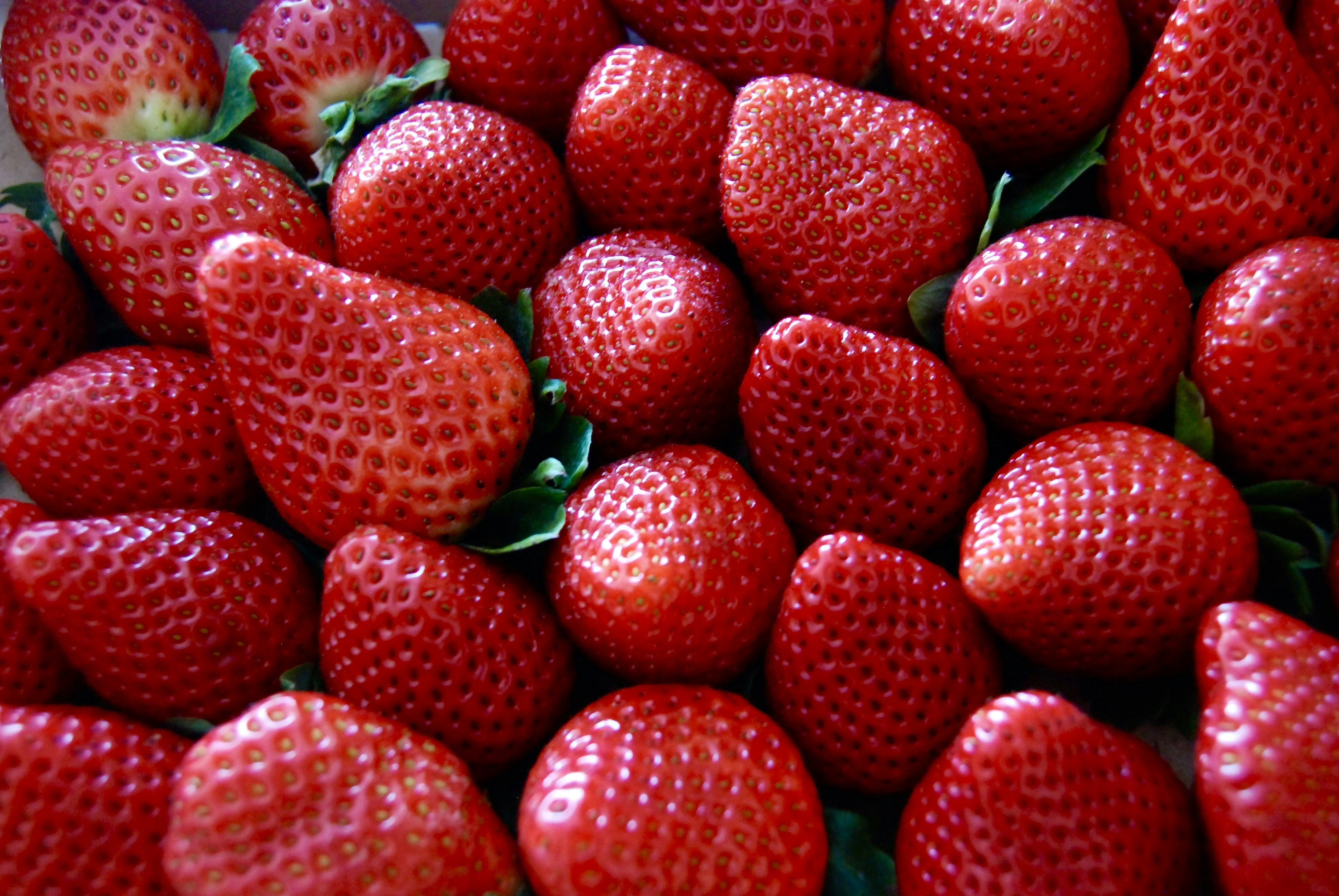 Photo by slightlybittersweet