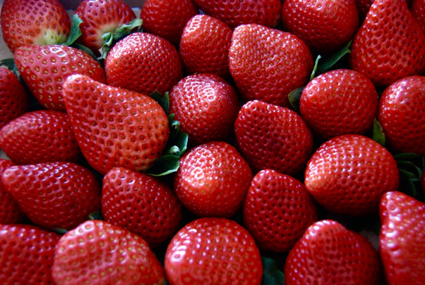 a close up of a bunch of strawberries