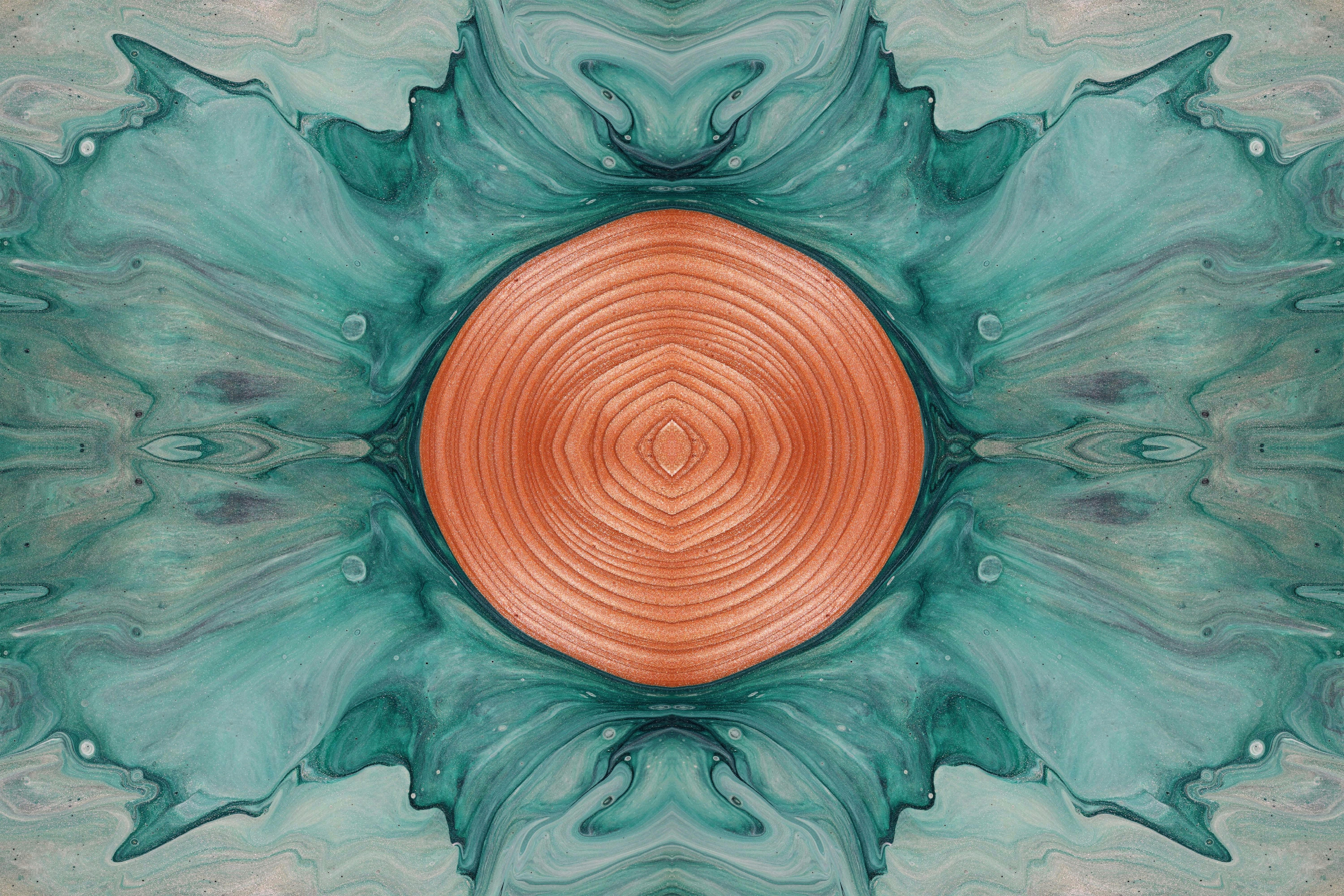 Photo by susan_wilkinson