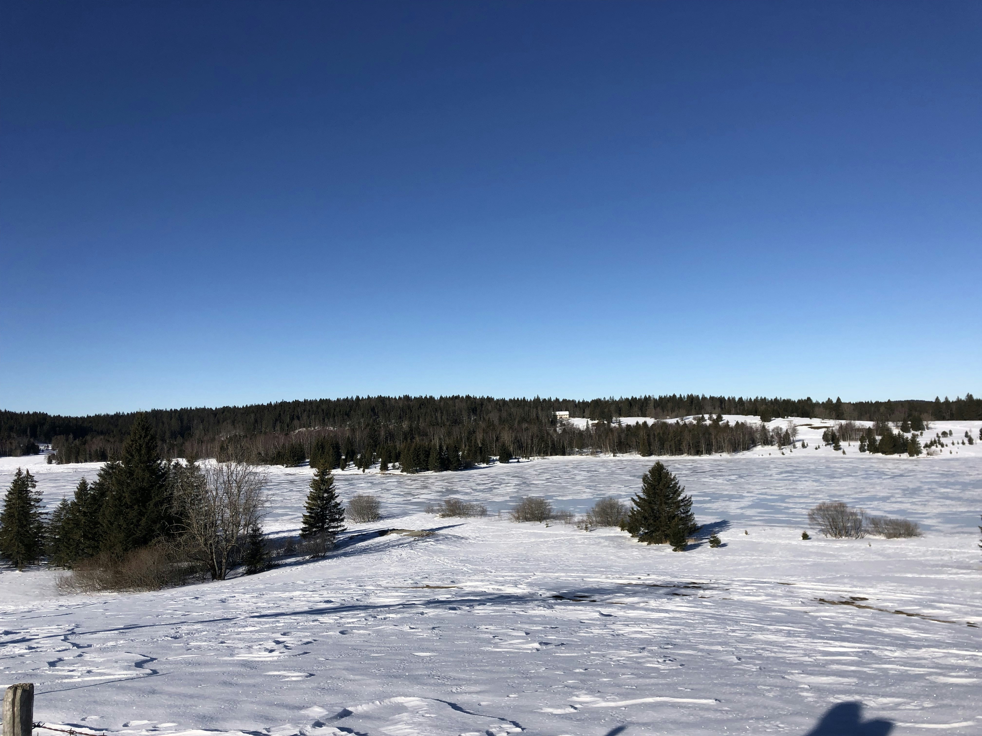 Photo by emmxfourrier